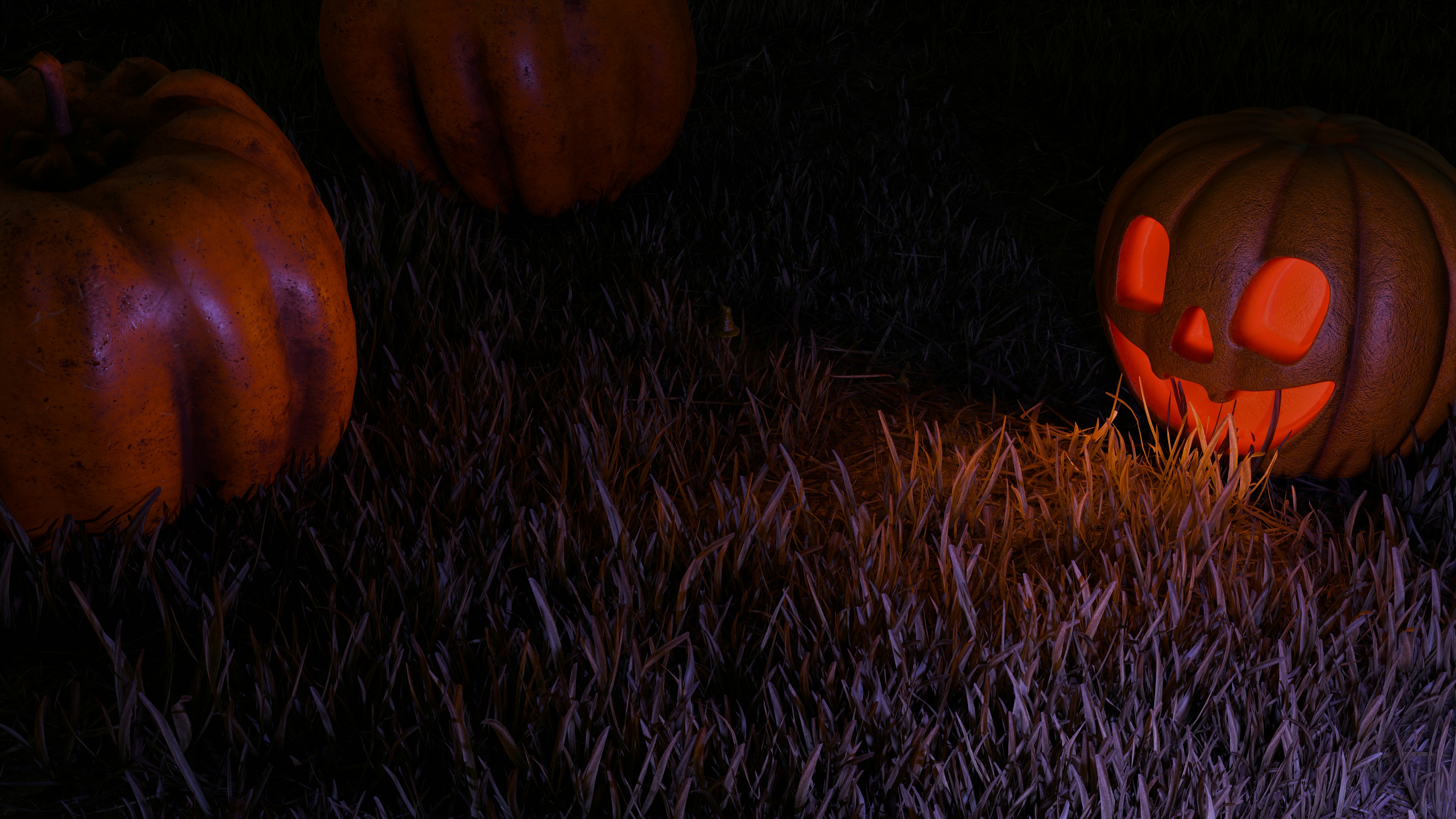 A group of pumpkins sitting on top of a lush green field