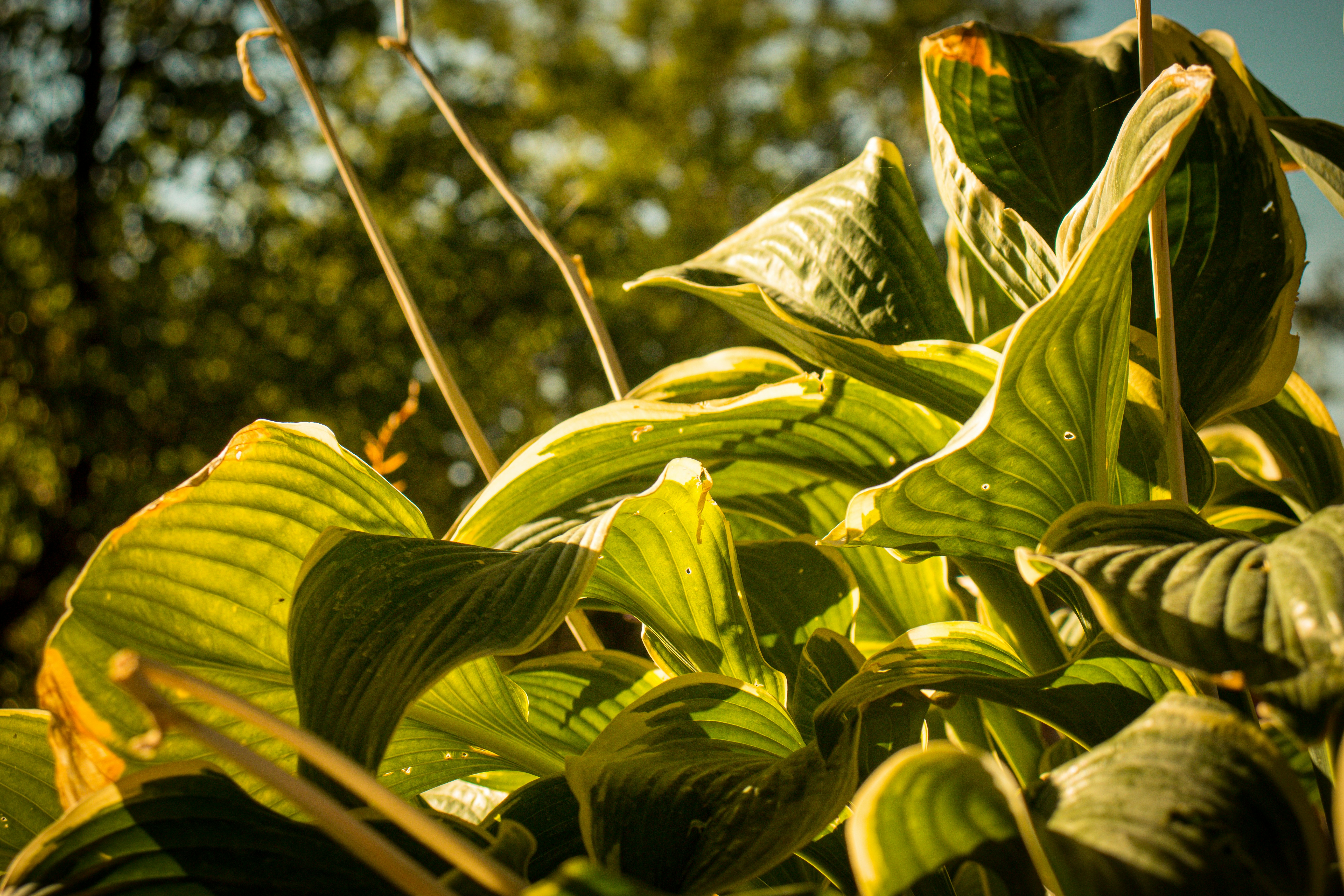 Photo by alexandragold