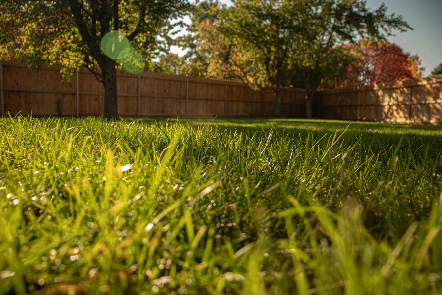 Clean property after complete tree removal