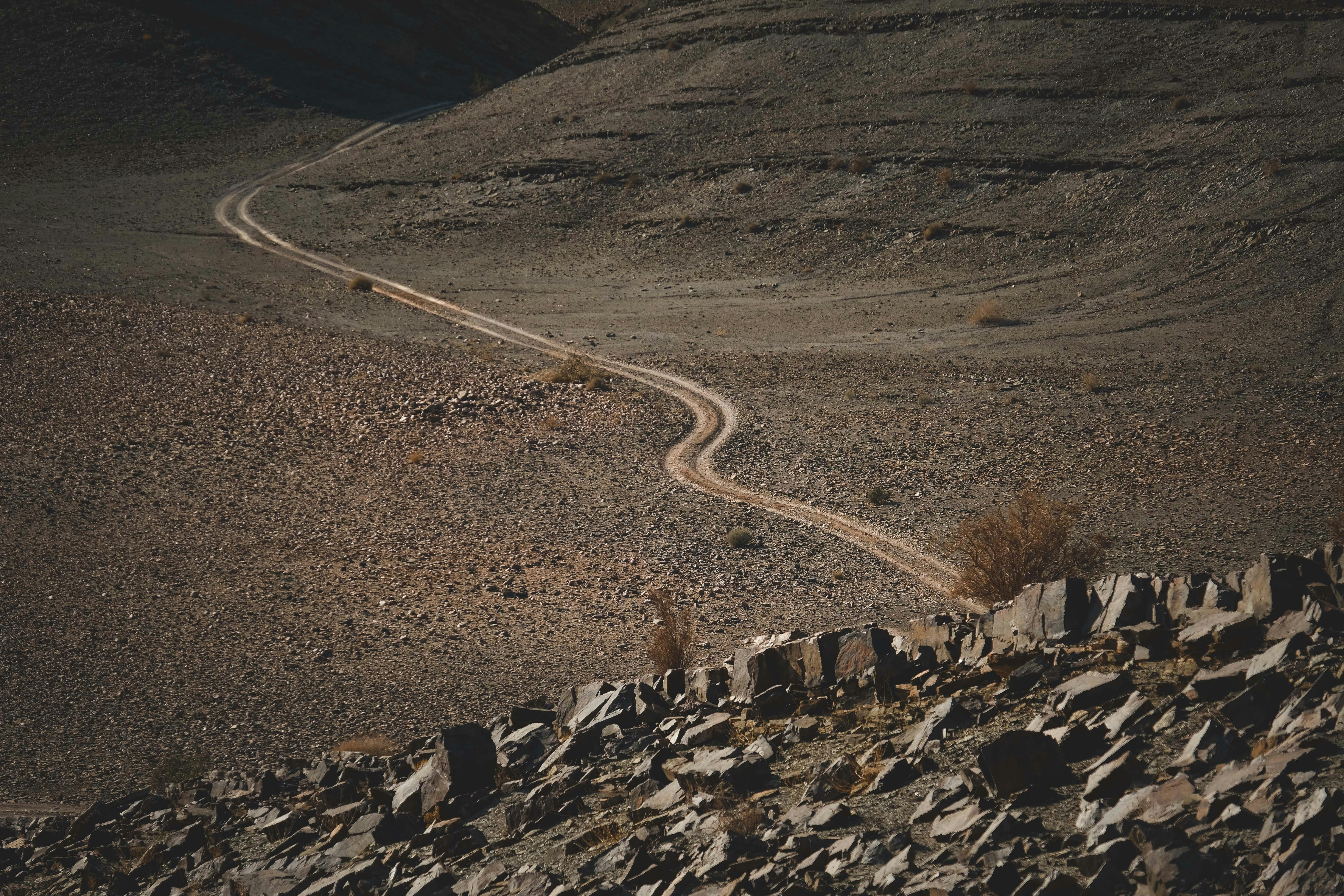 Photo by francesco_ungaro