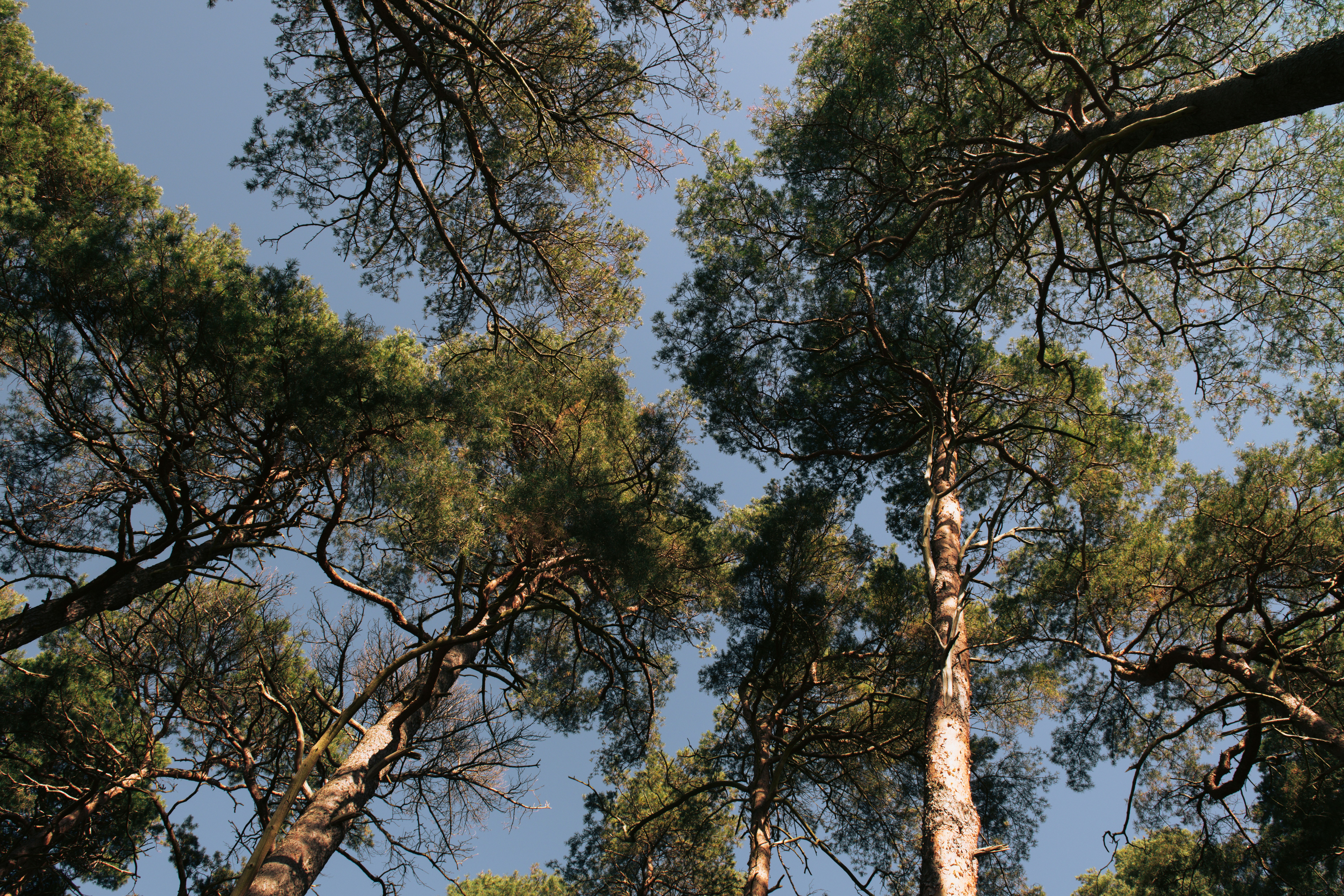 Photo by hamburgmeinefreundin