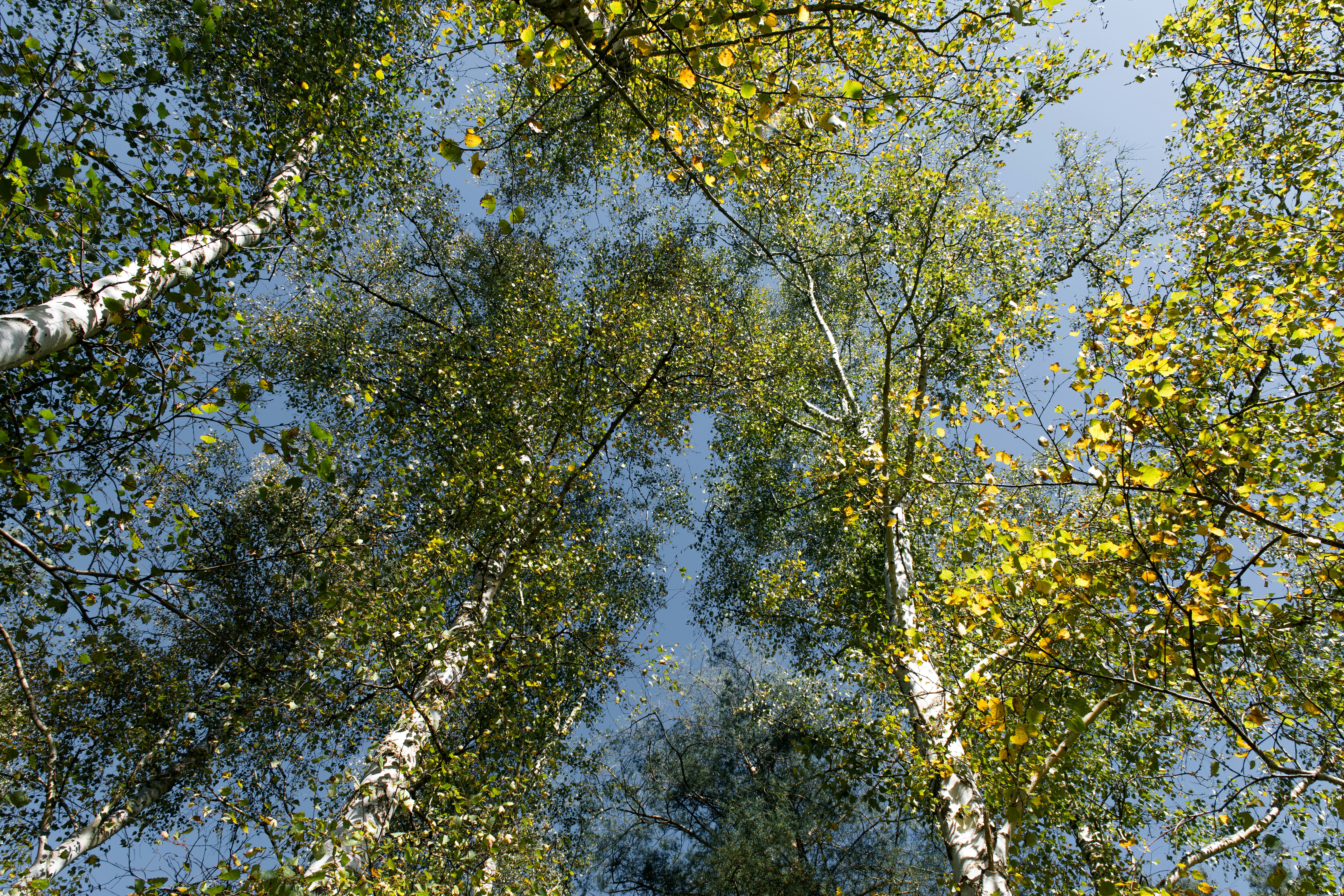 Photo by hamburgmeinefreundin