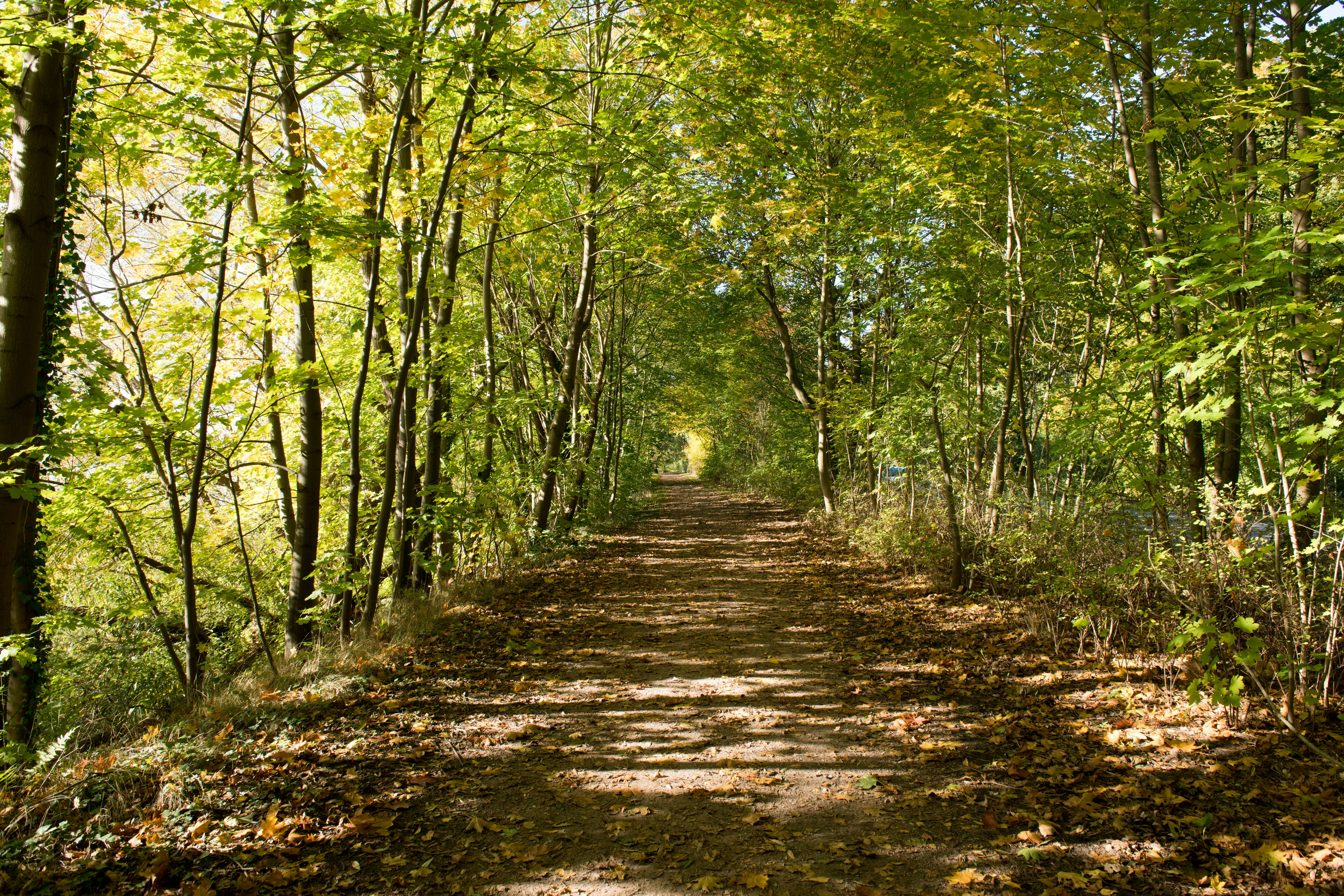 Photo by hamburgmeinefreundin