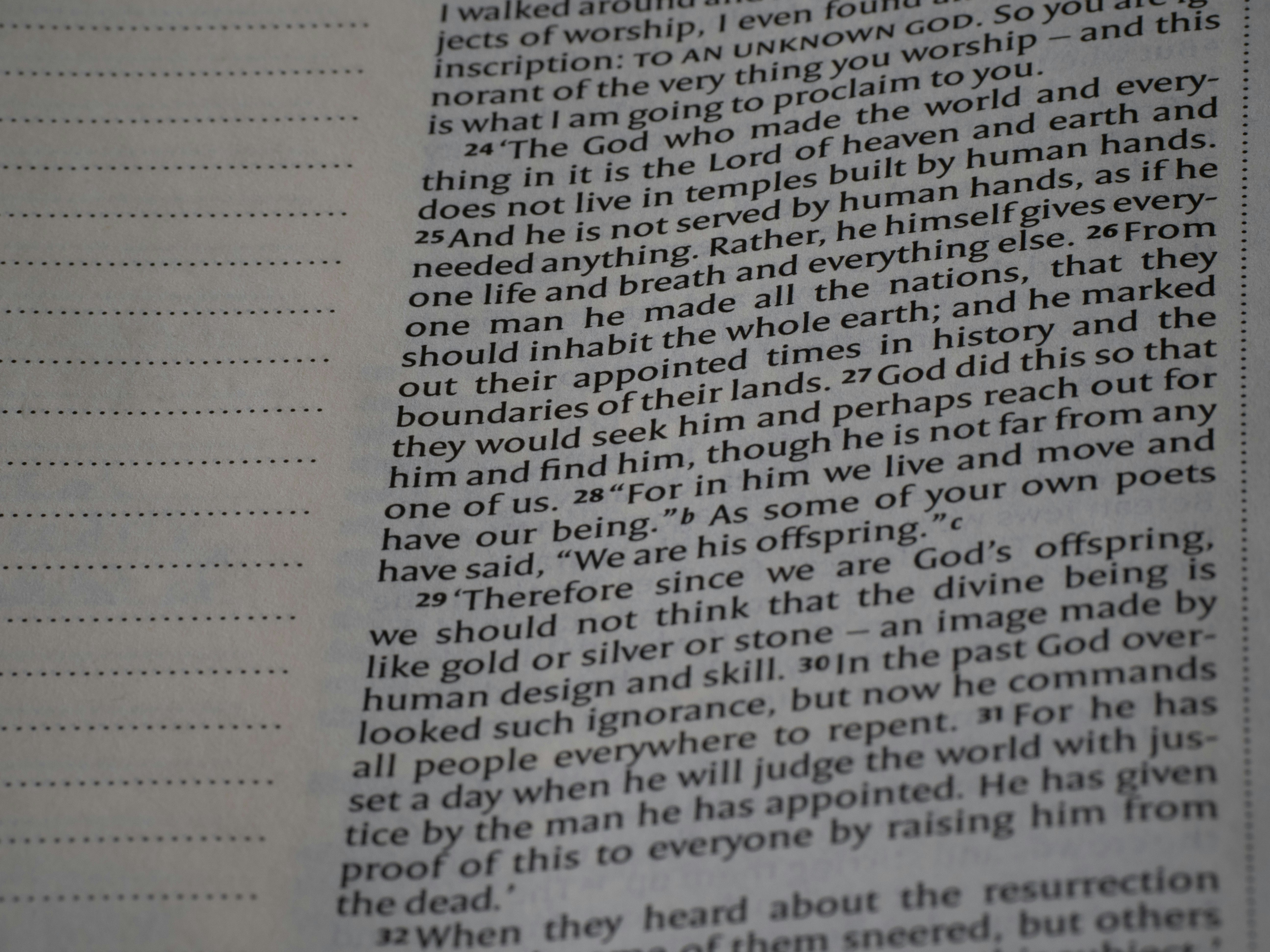 why are there secttins in wordpress that i cant edit