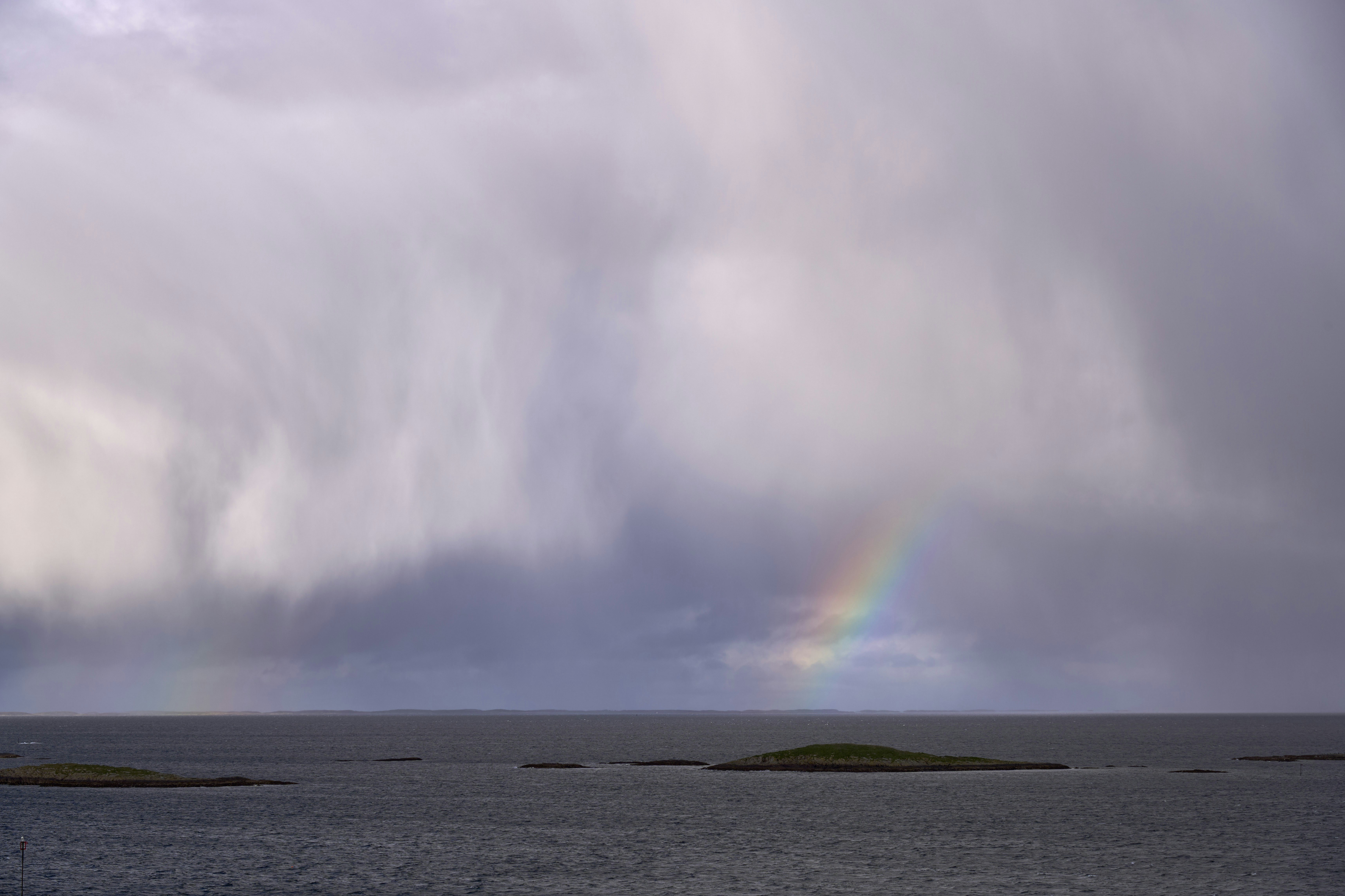 Photo by wolfgang_hasselmann