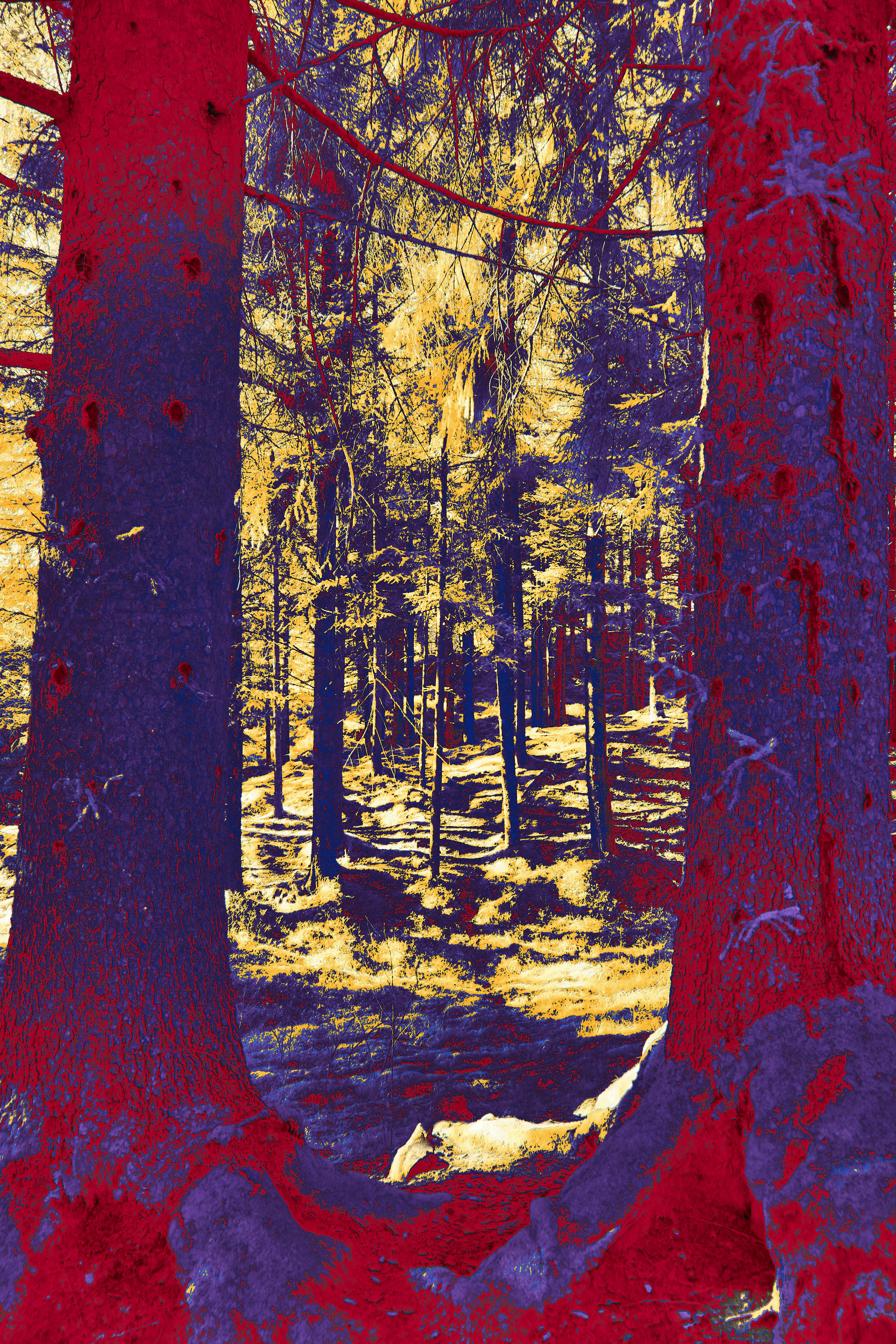 Photo by wolfgang_hasselmann