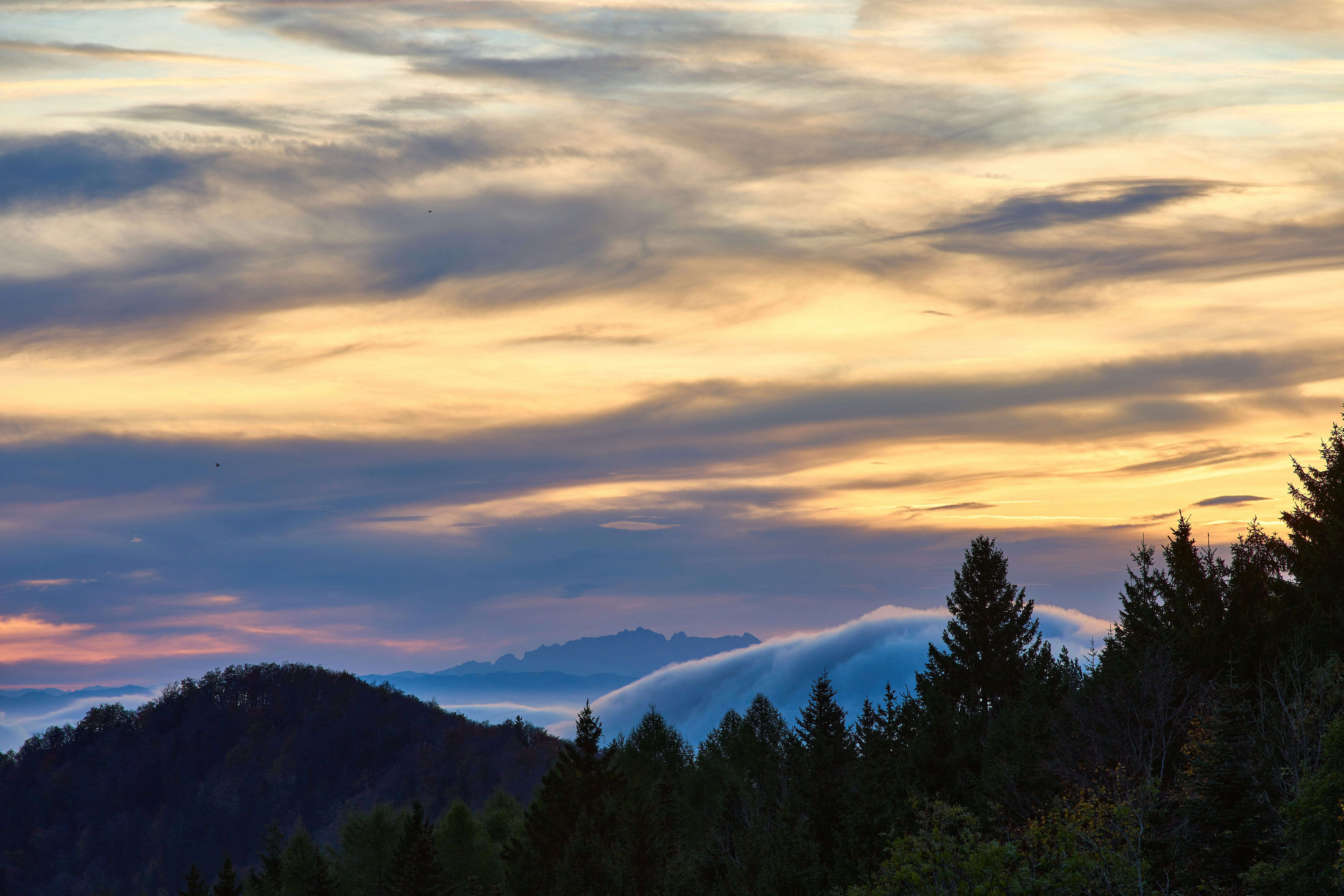 Photo by wolfgang_hasselmann