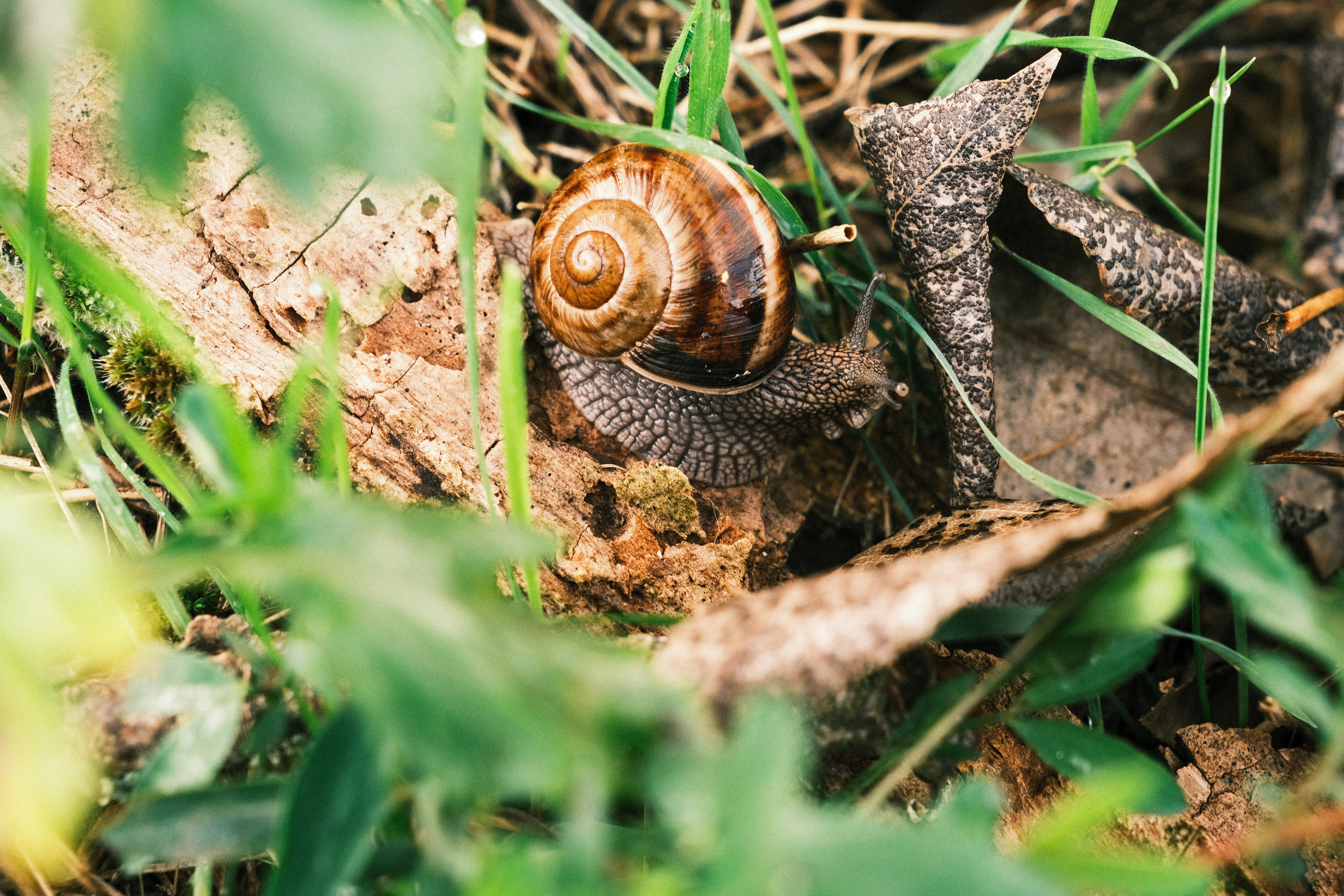 Photo by remimorel05