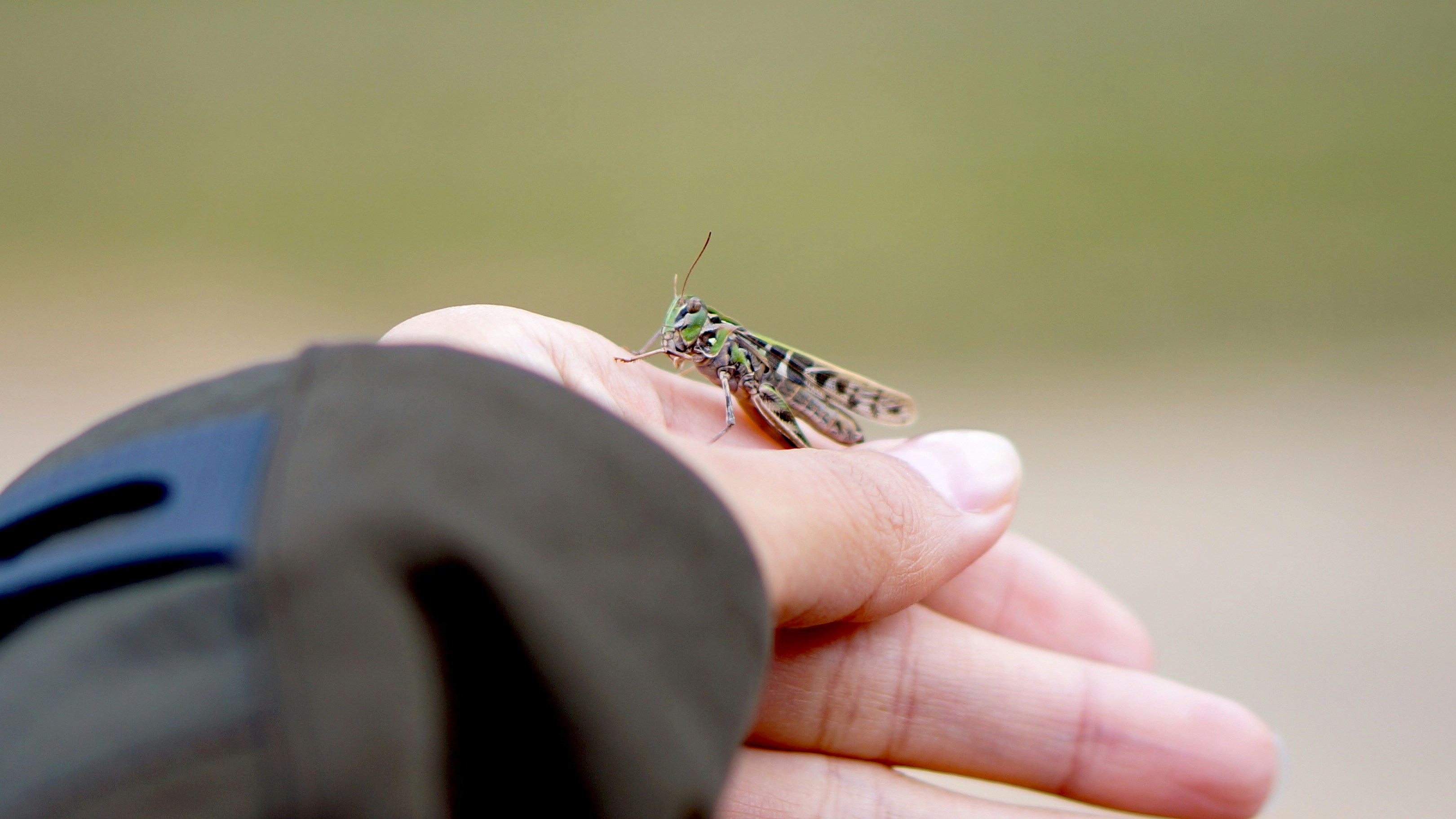 Microsoft Launches GPT-5 General Availability in Azure AI Foundry