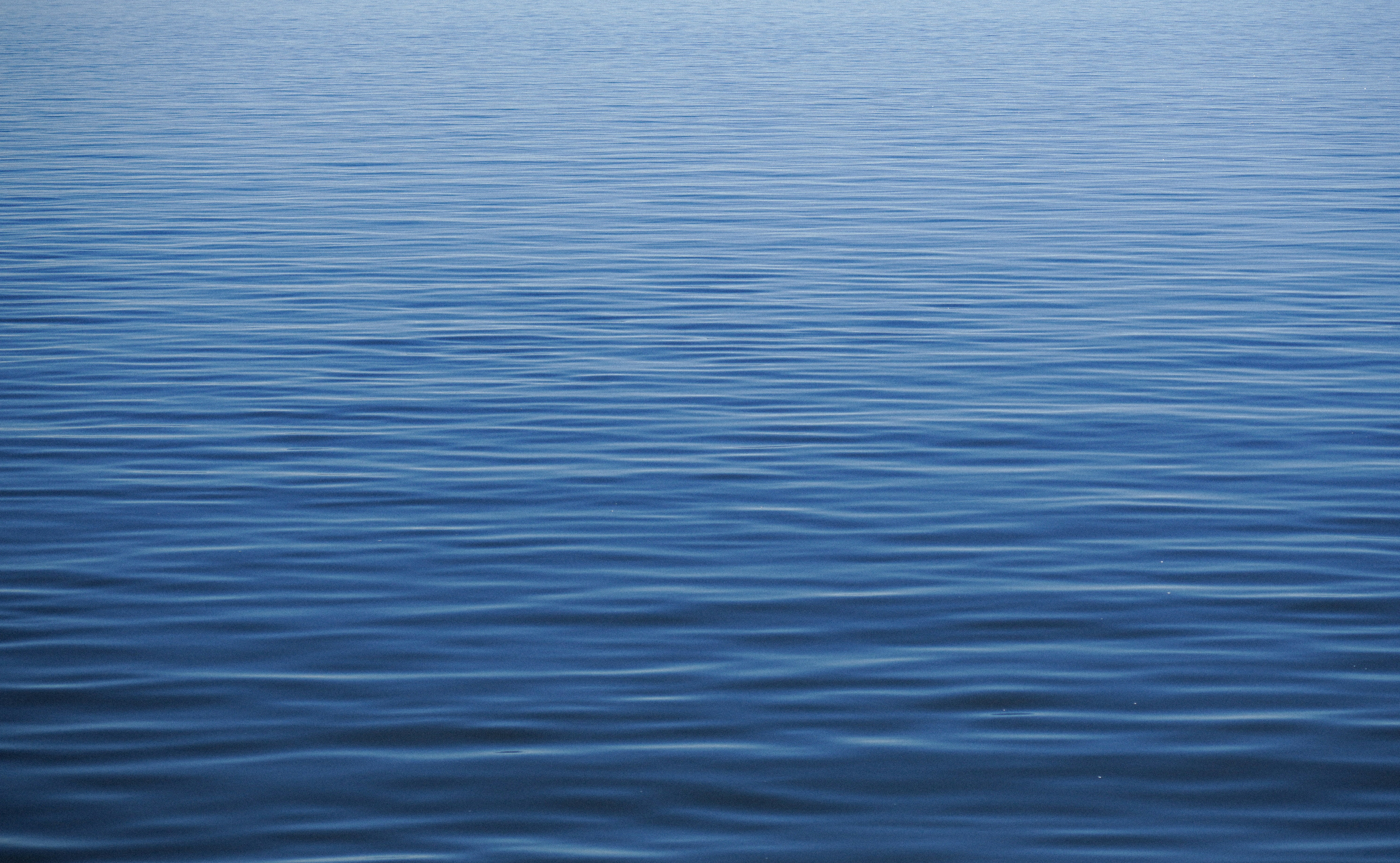 Photo by niklasjakob