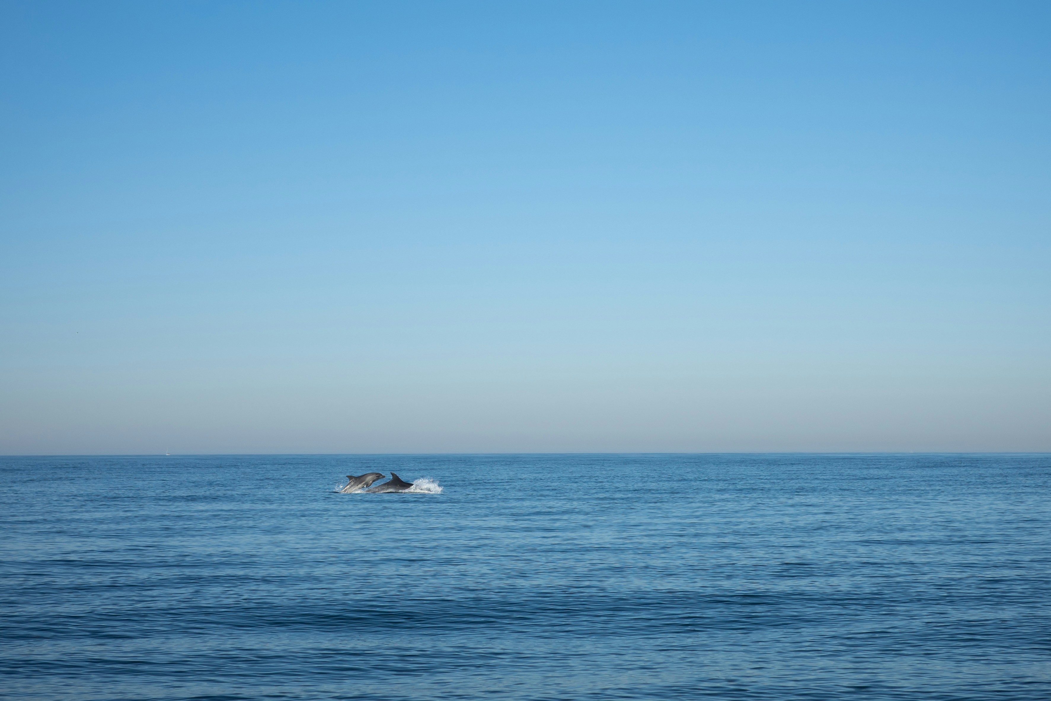 Photo by ninaschneider