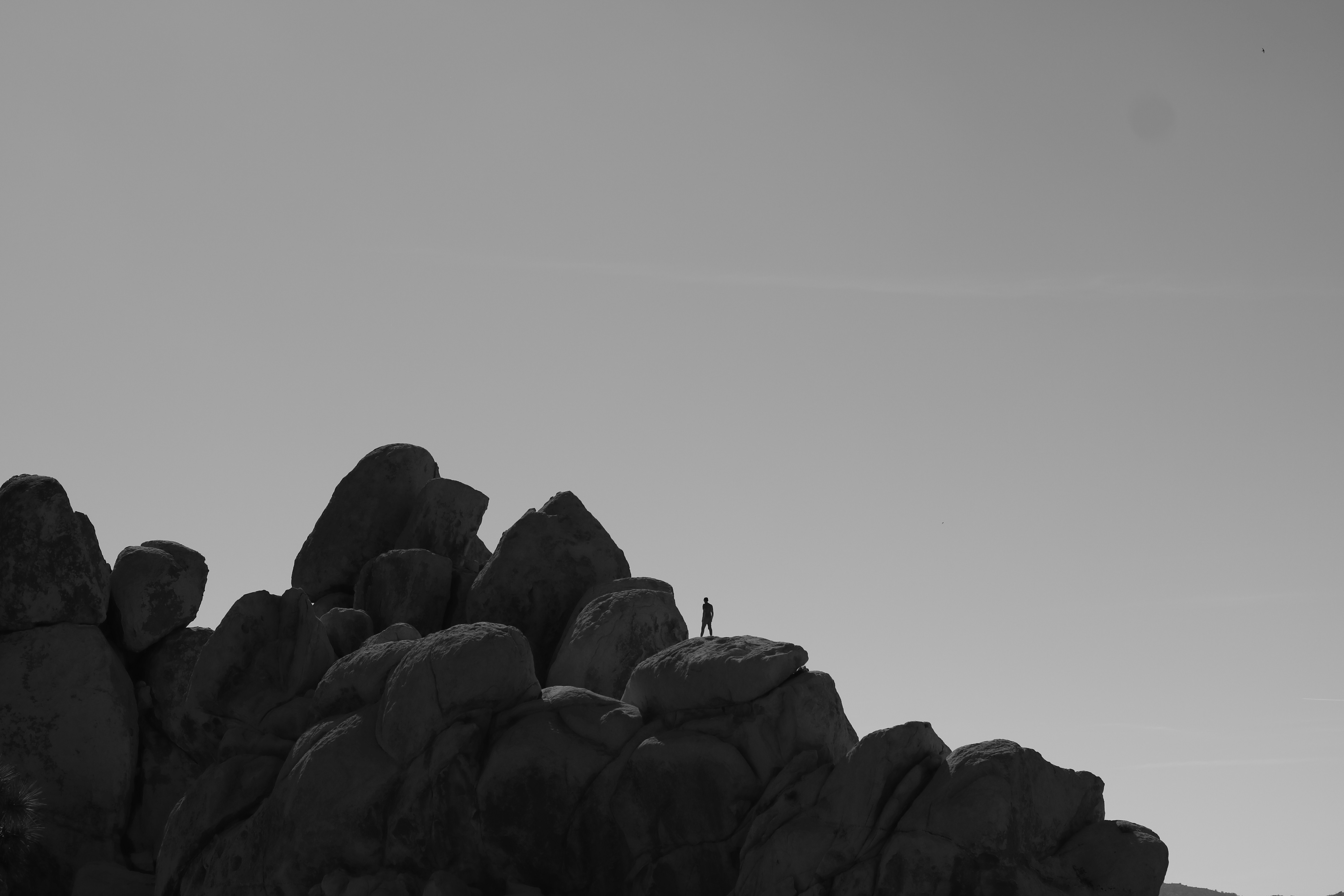 Photo by theogermain