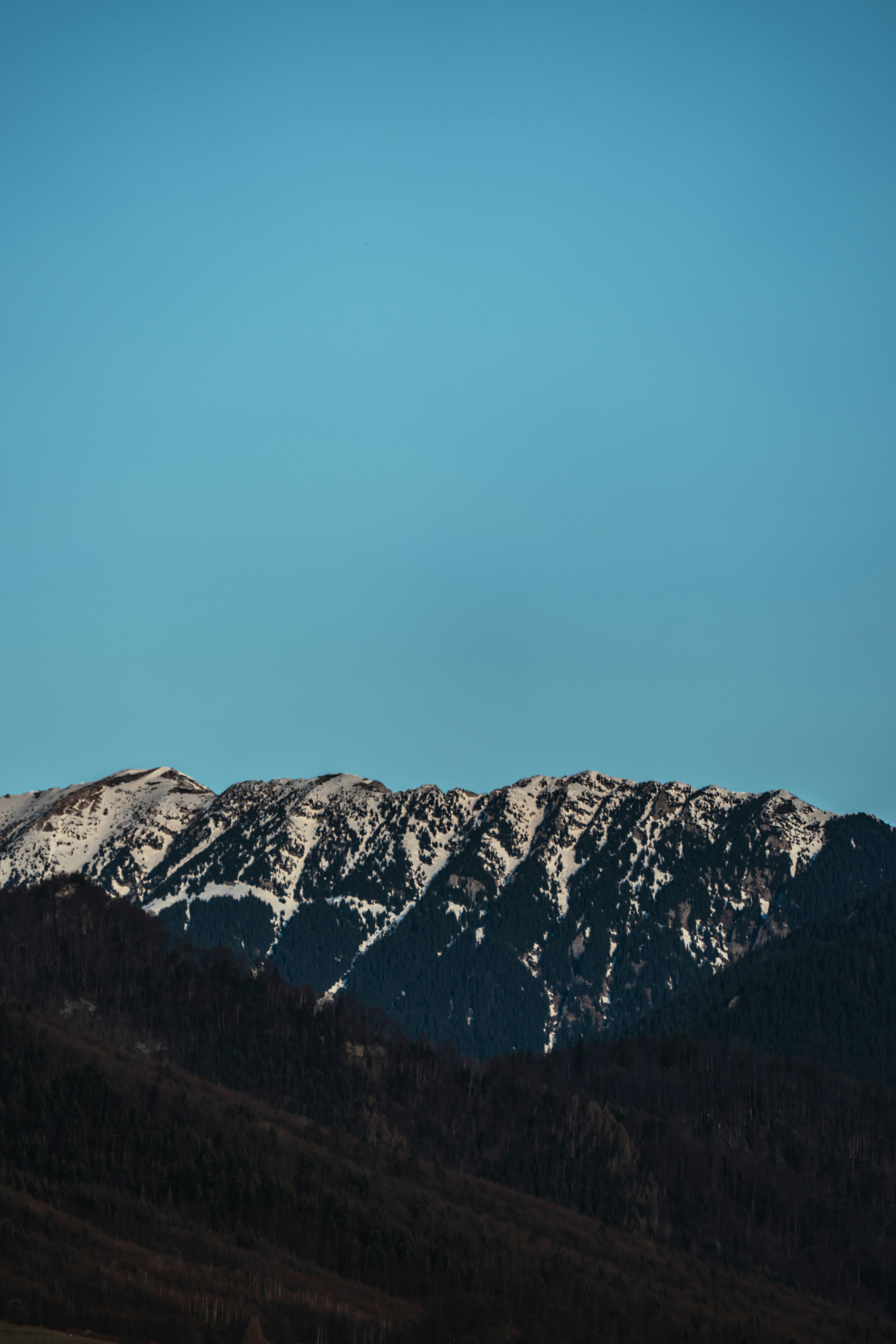 Photo by winstontjia