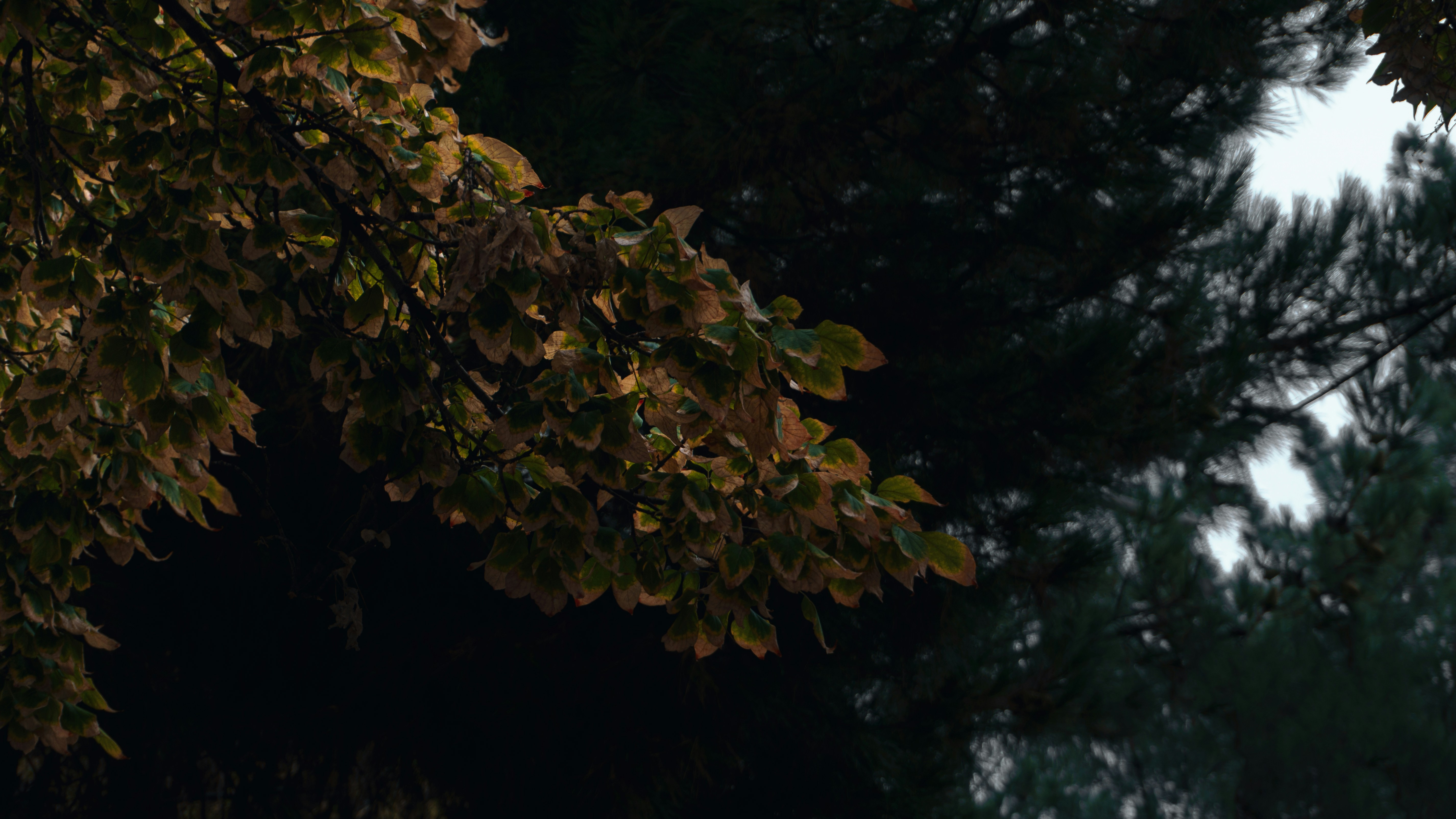 Photo by sajjadkhavari_