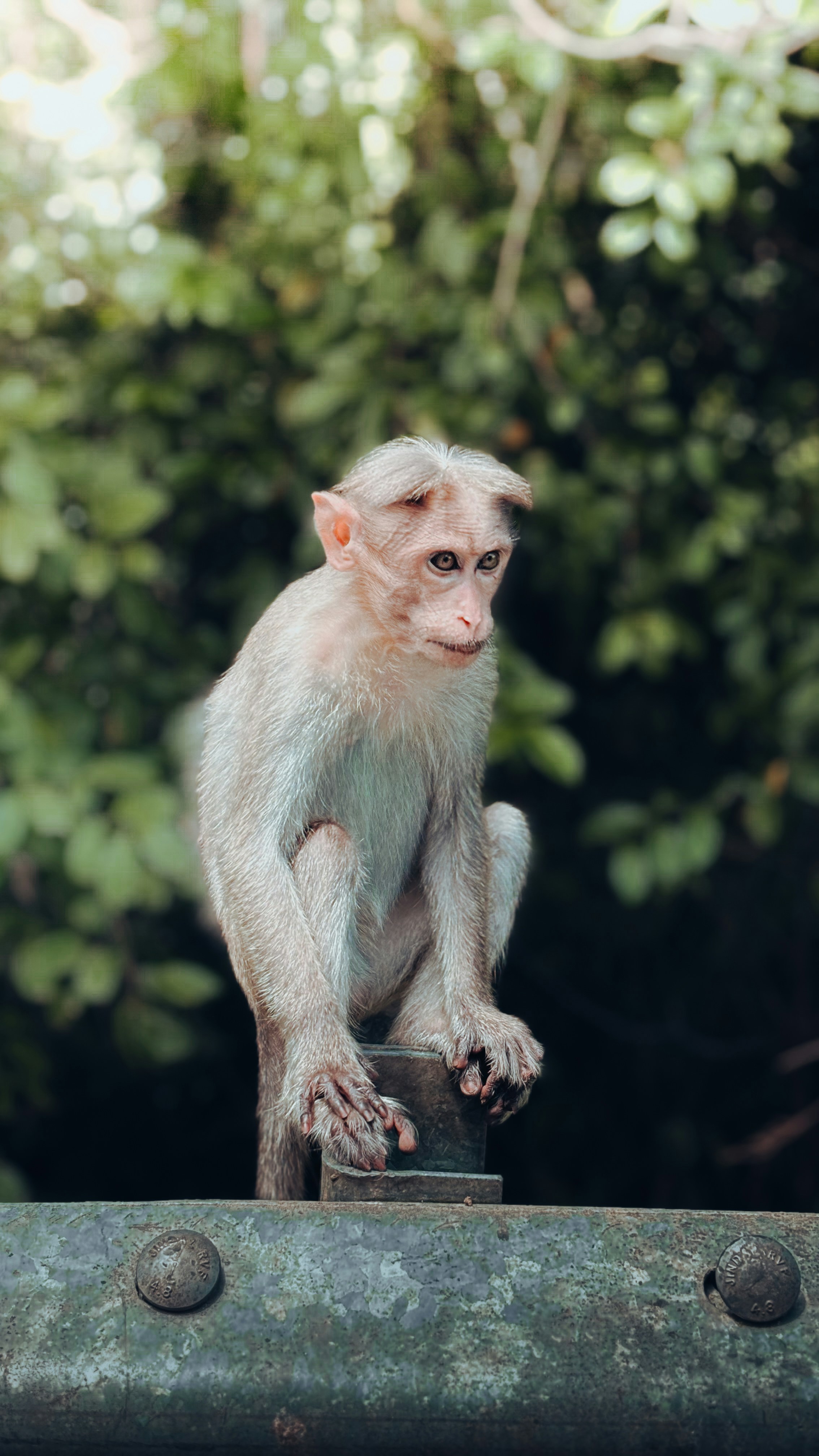 Photo by farsanamanaf