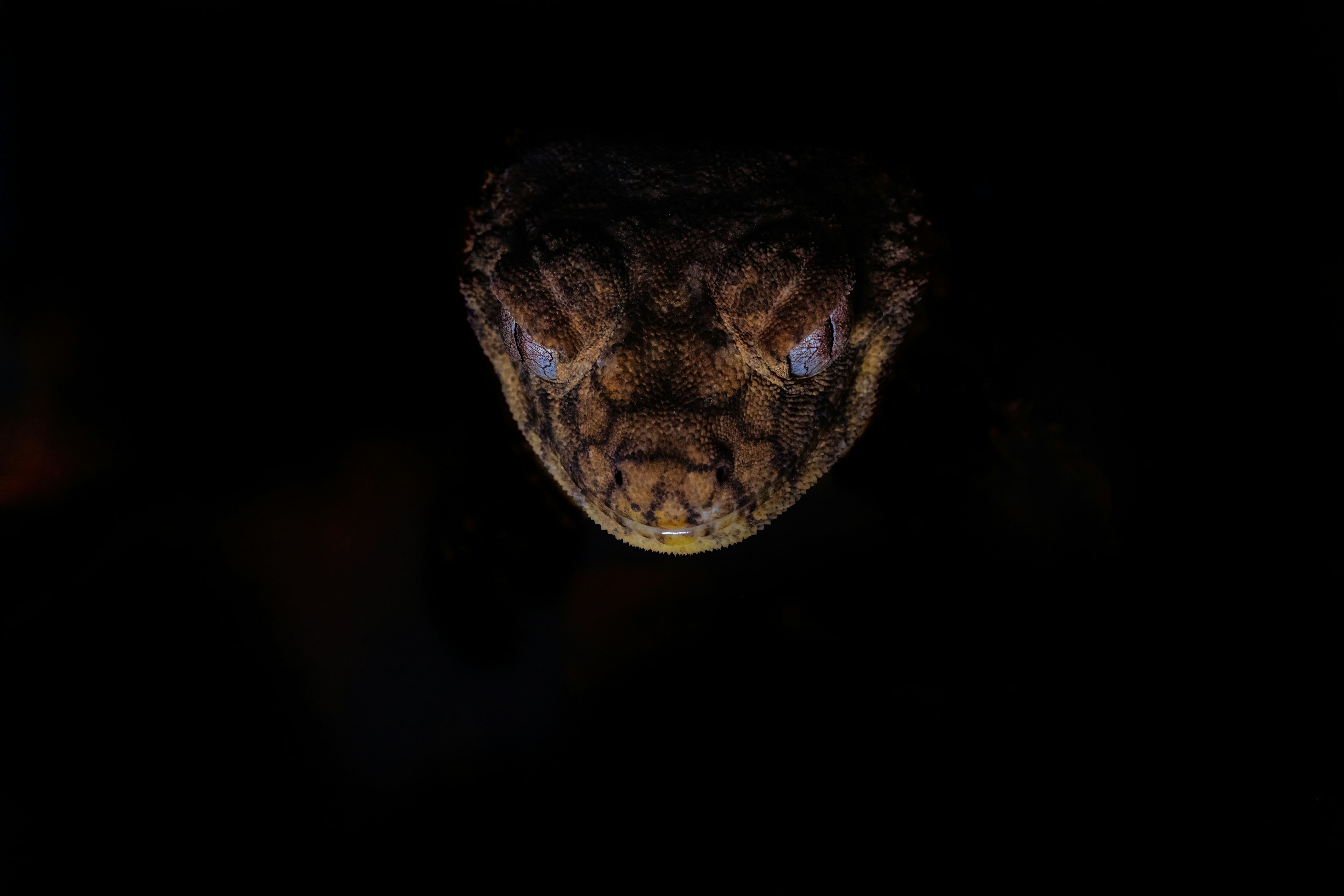 전자레인지로 계란 반숙 만드는 시간은 얼마나 걸리나요?