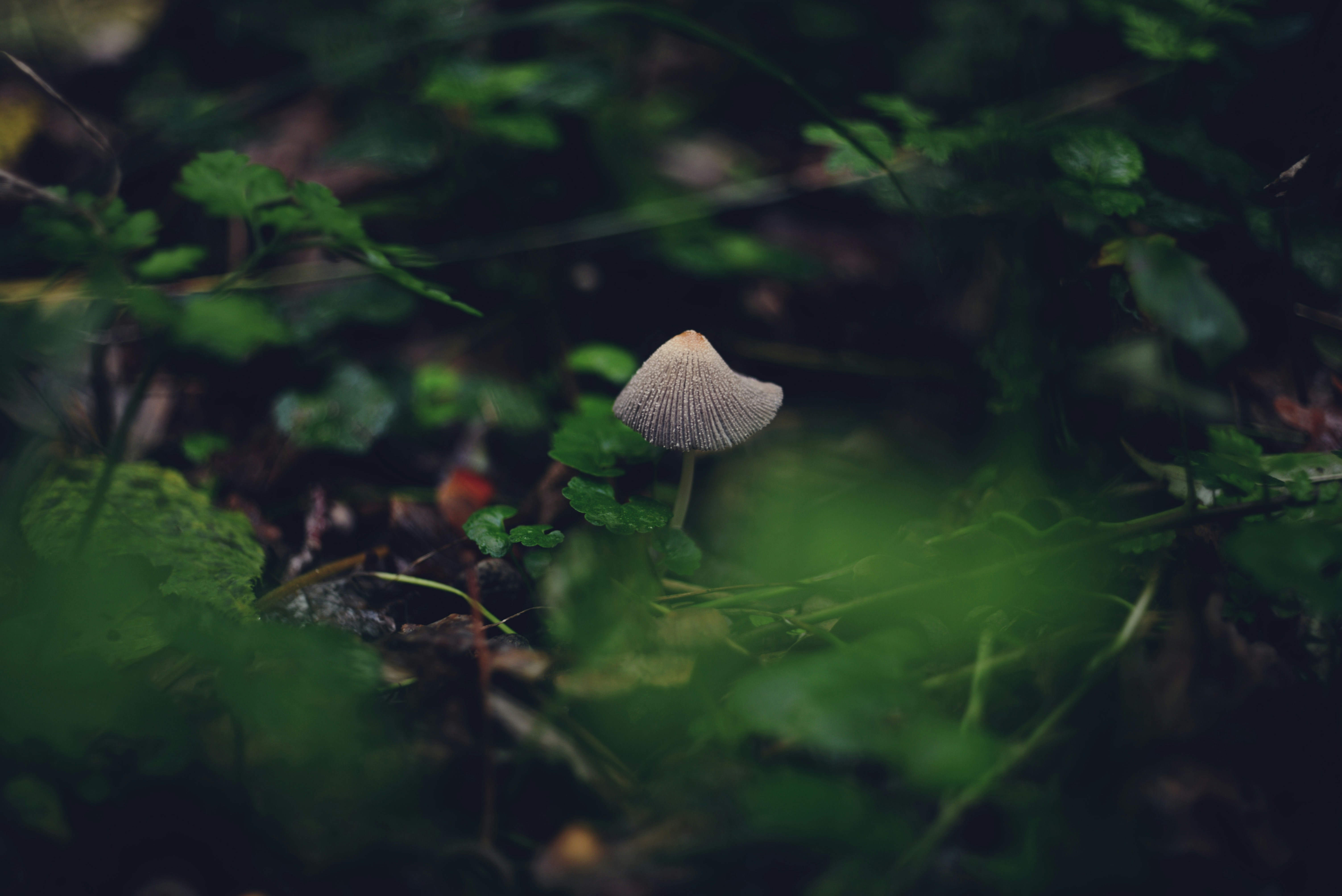 Photo by cherstve_pechivo