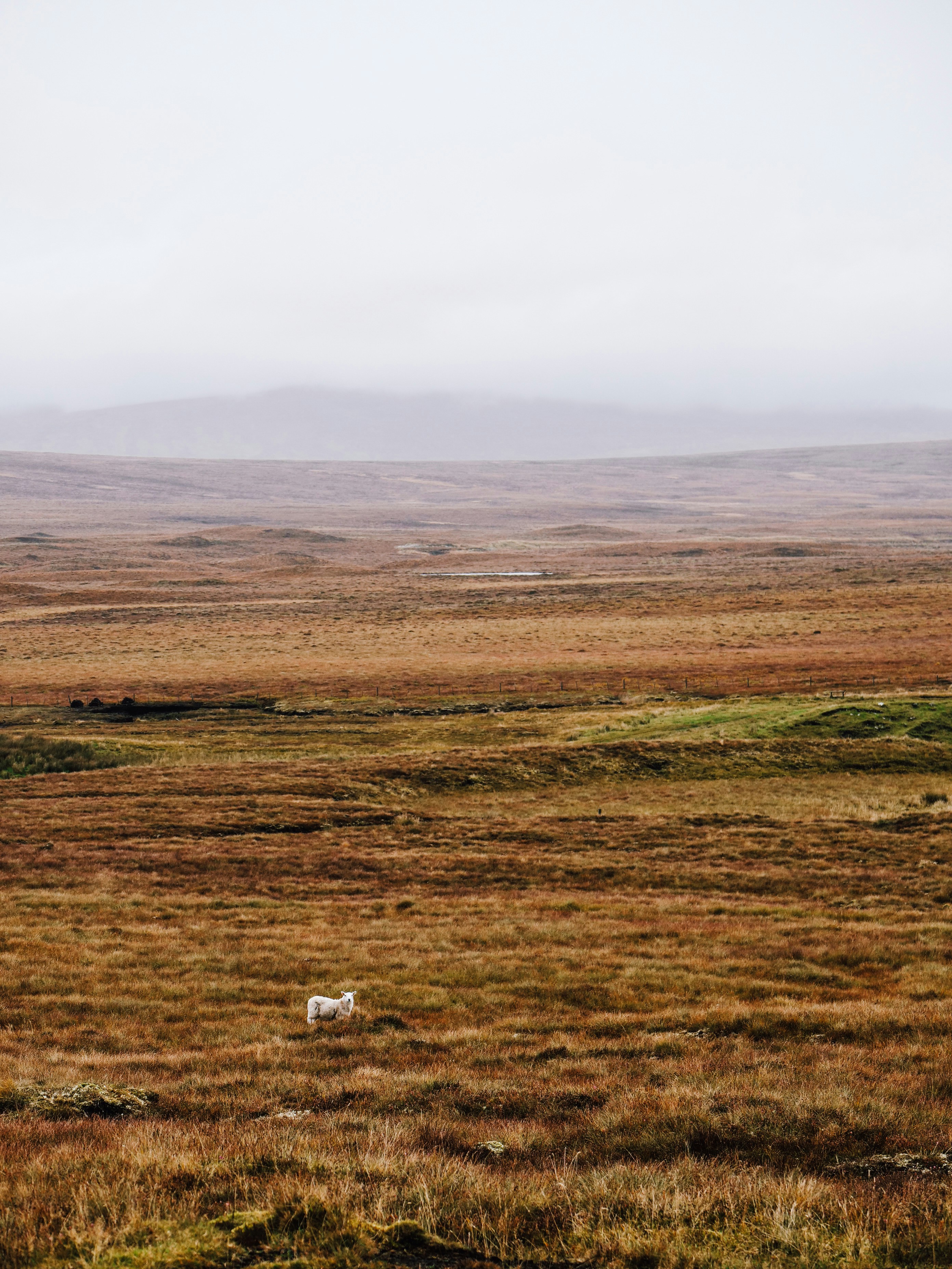 scottish highlands scenery
