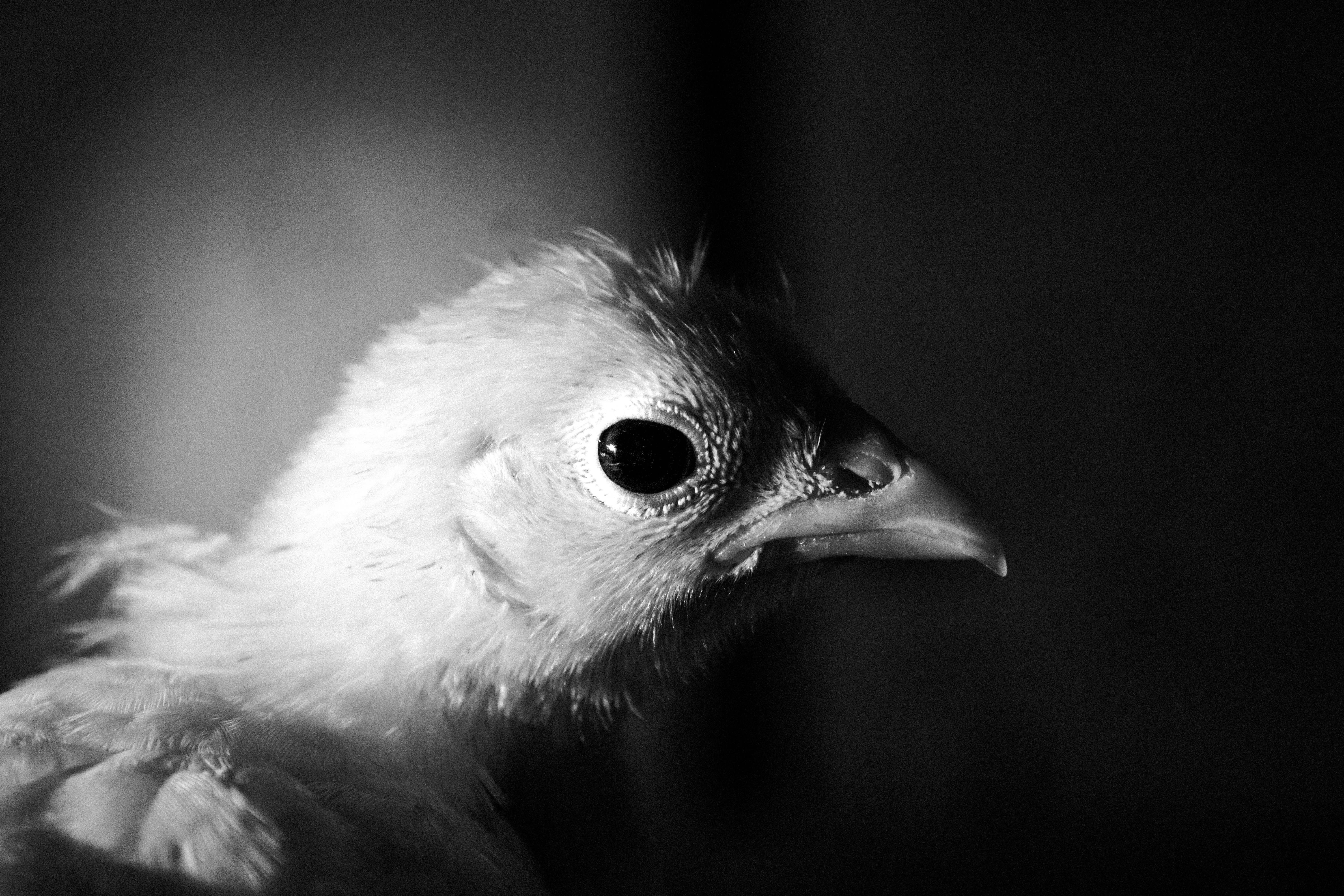 Photo by mariaschulzz