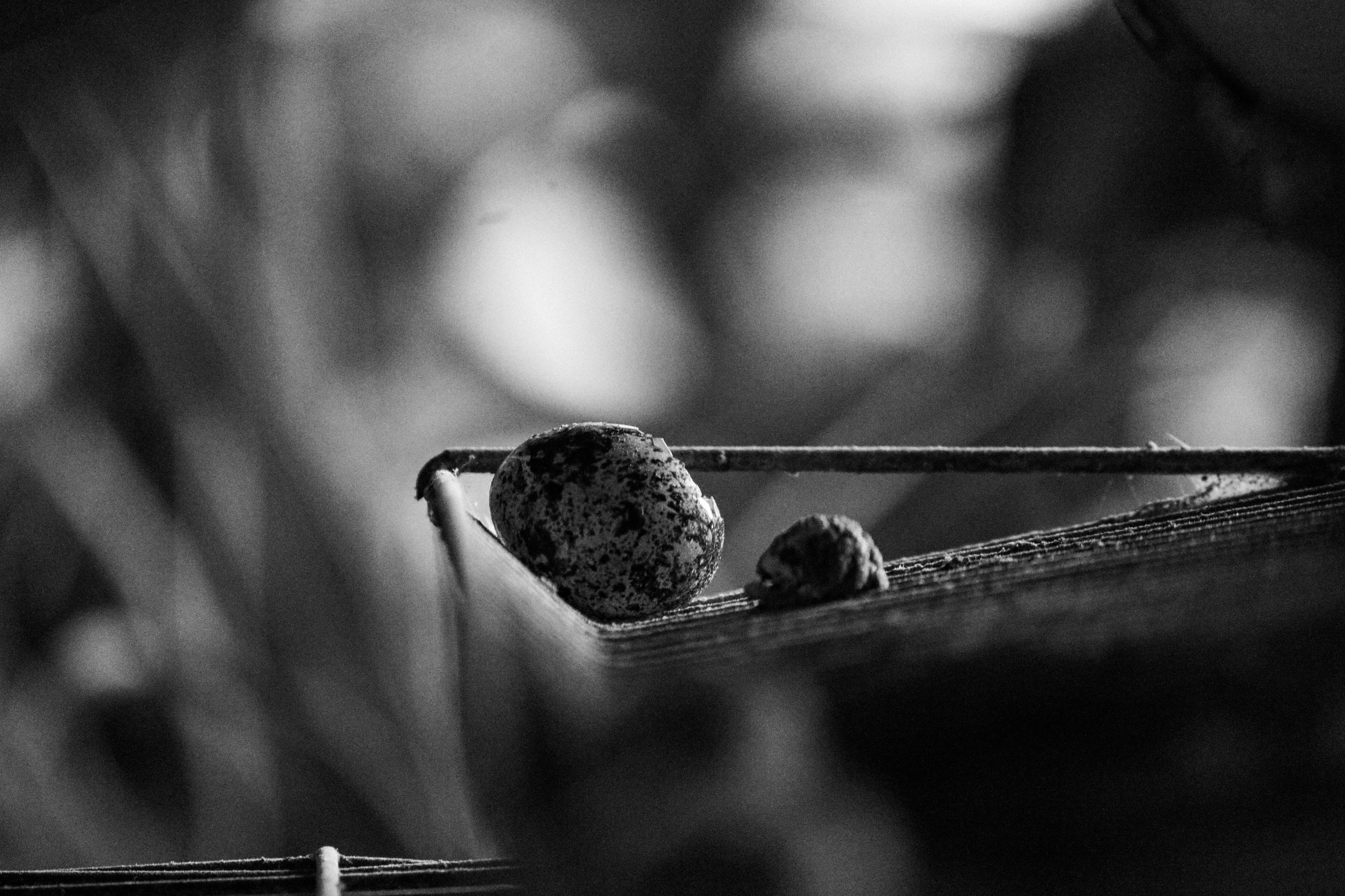 Photo by mariaschulzz