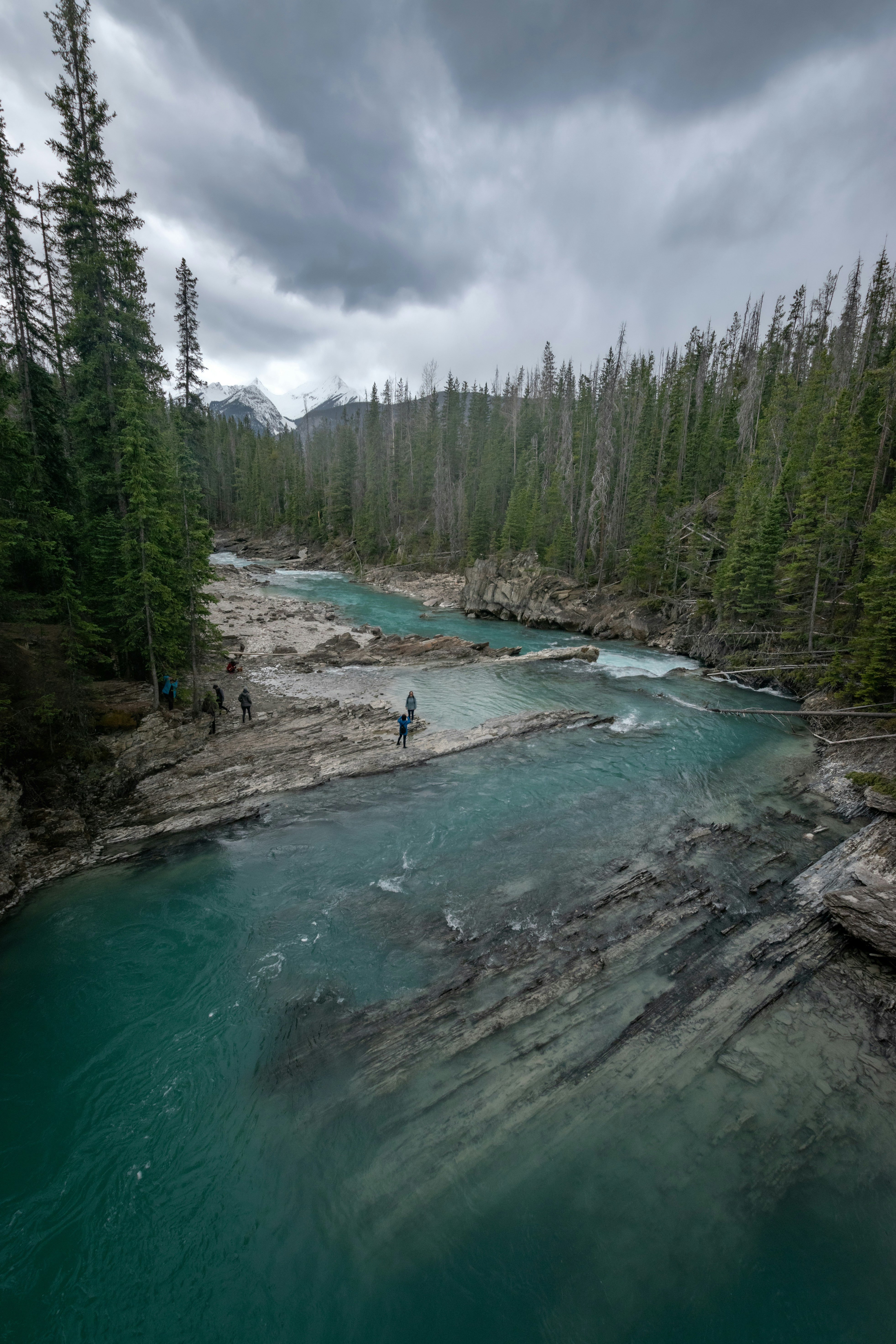 A river running through a lush green forest