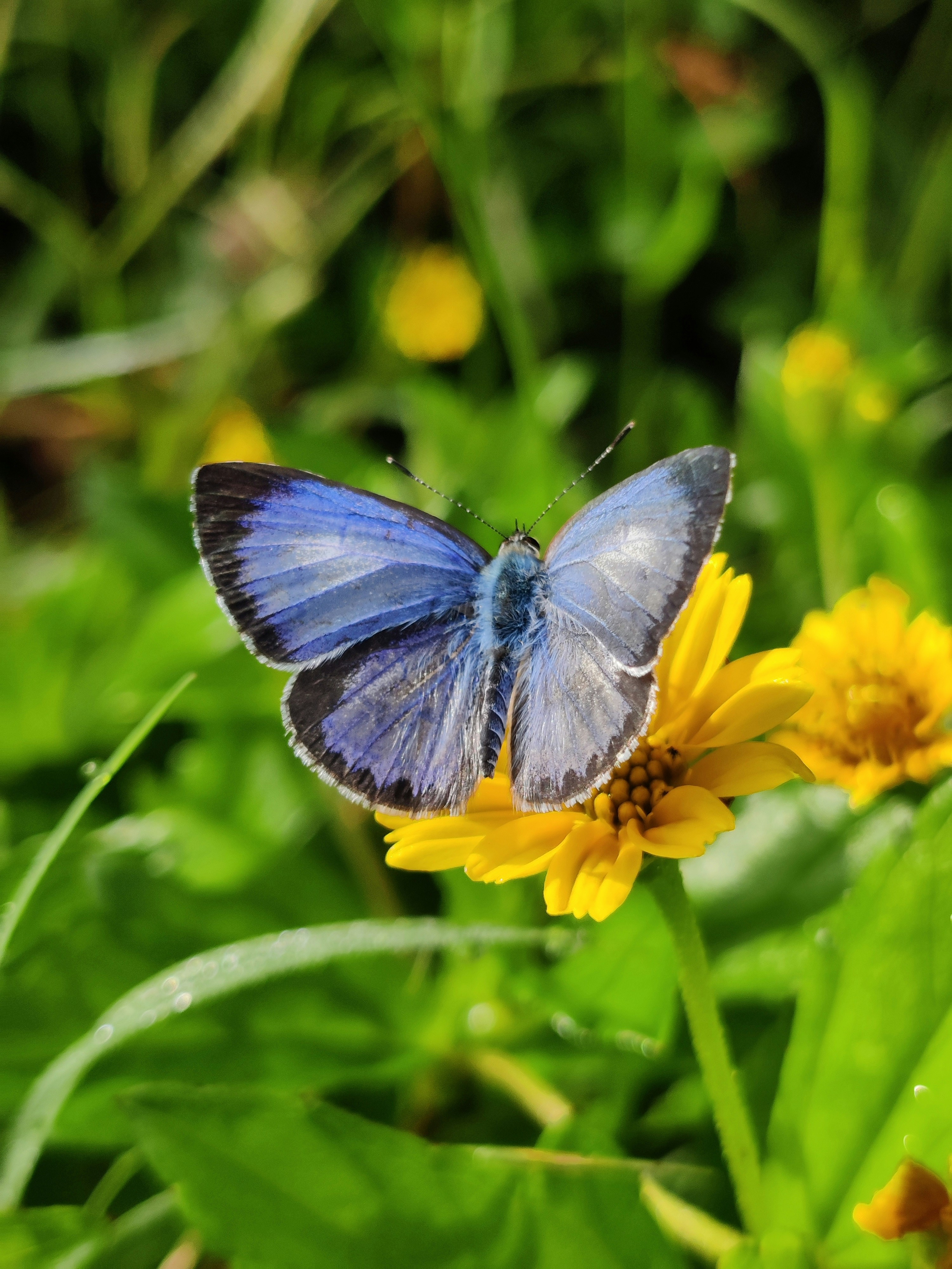 Photo by davissonroyan