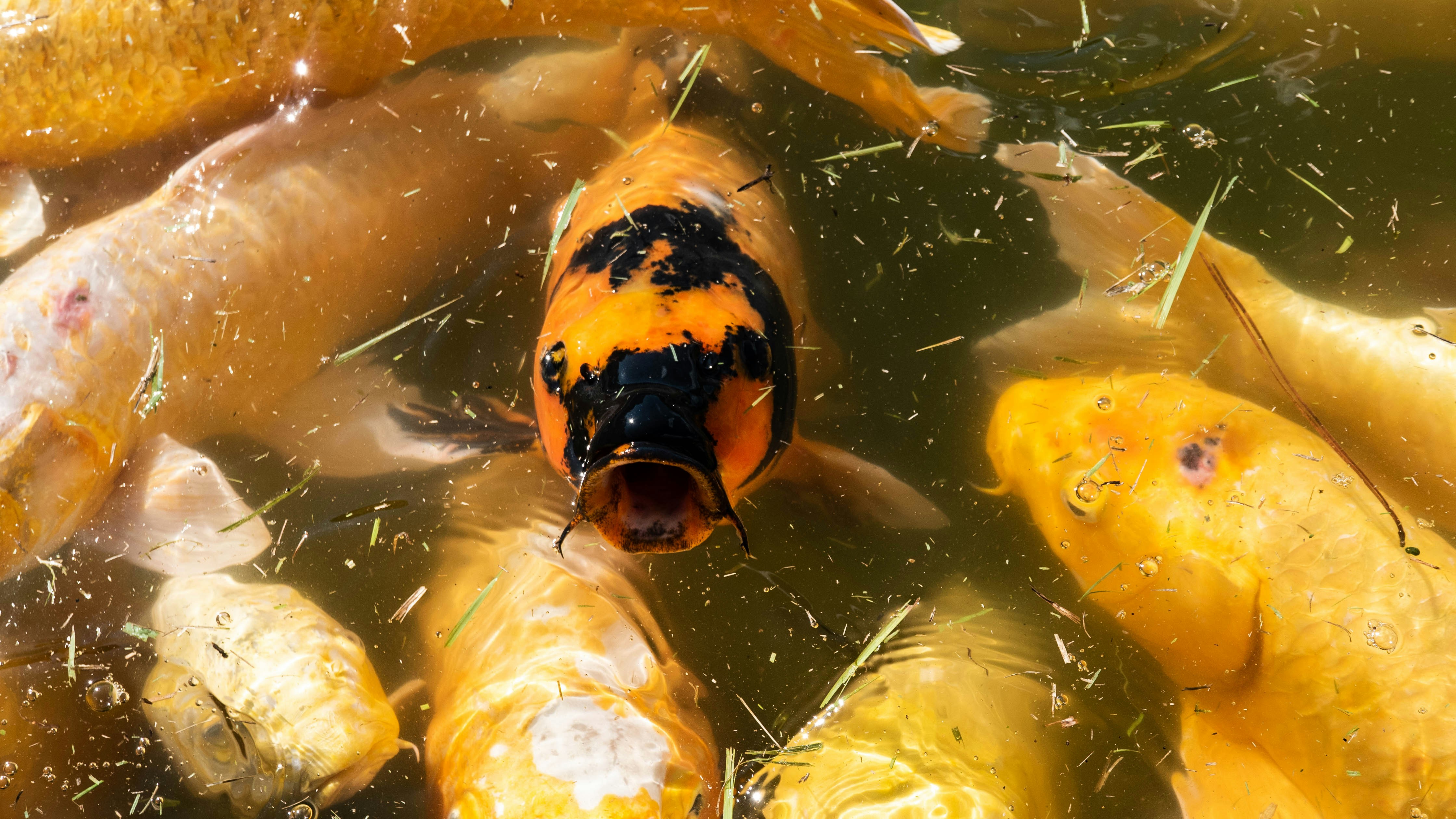 震驚！XX明星私生活大亂鬥，真相曝光讓你下巴掉下來！