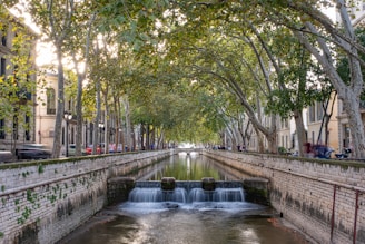 Investissement locatif à Nîmes : Ce que vous devez absolument savoir
