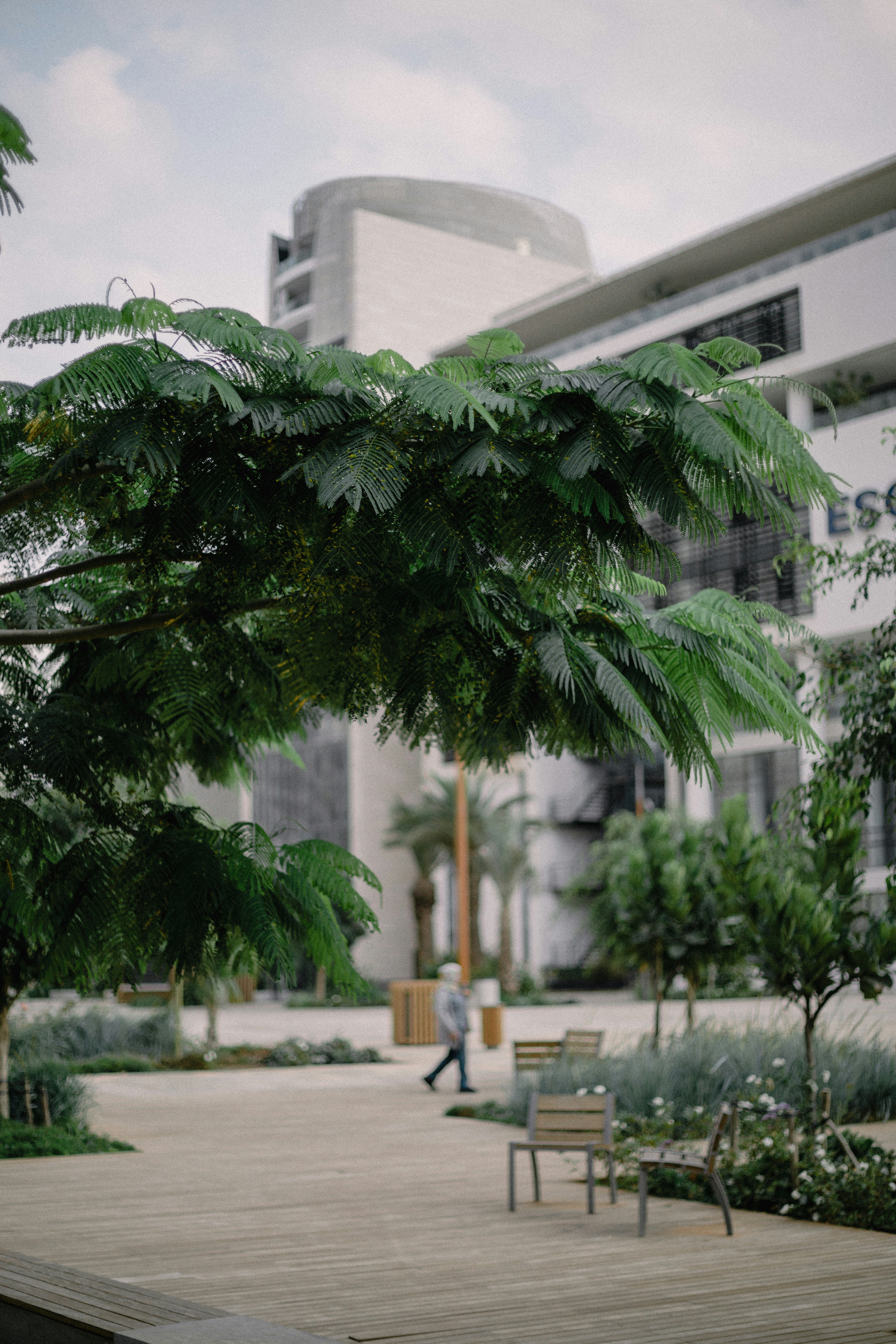 Photo by salaheregouane