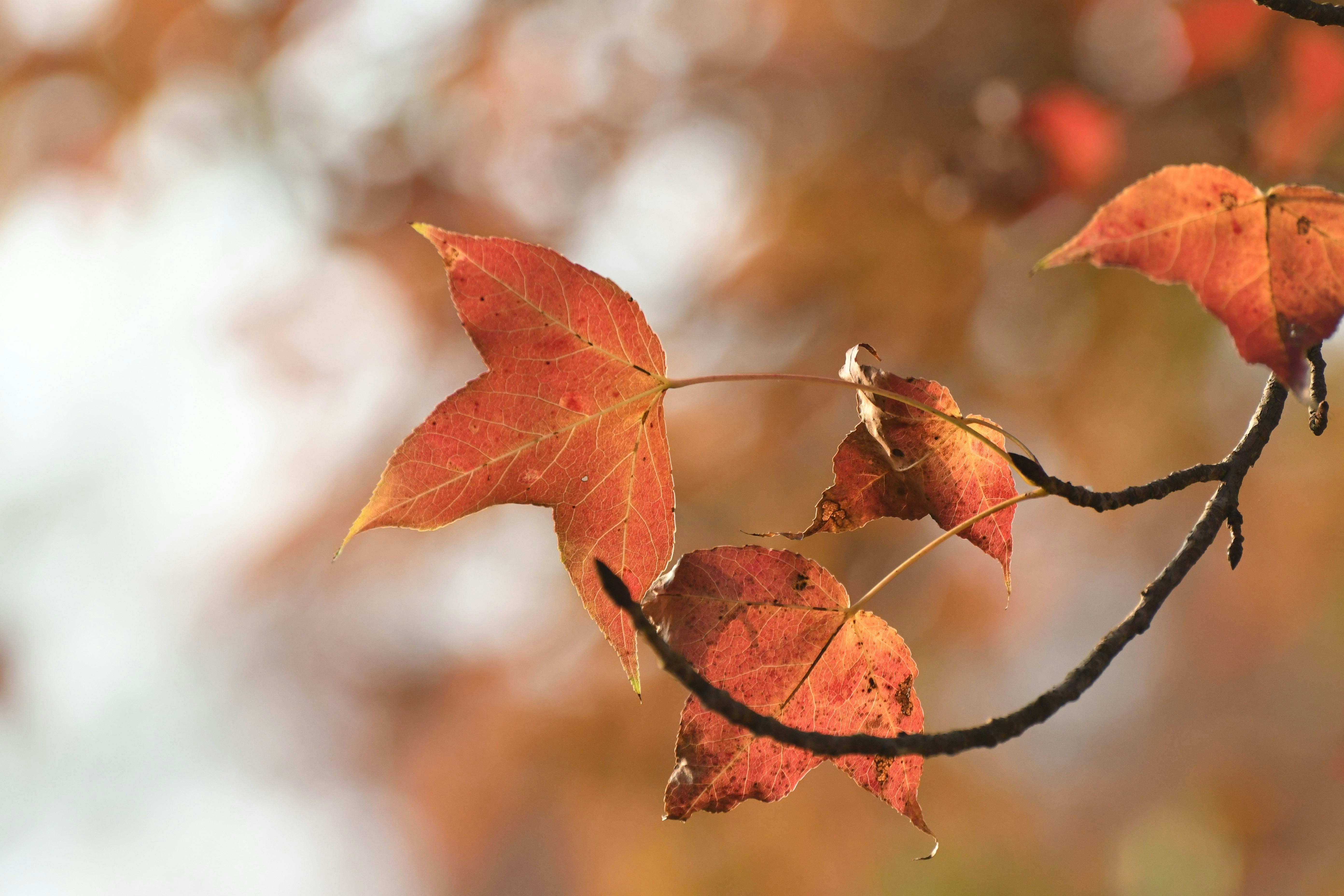 Photo by naomiliu1020