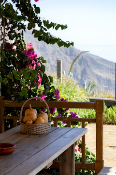A wooden bench with a basket of fruit on it