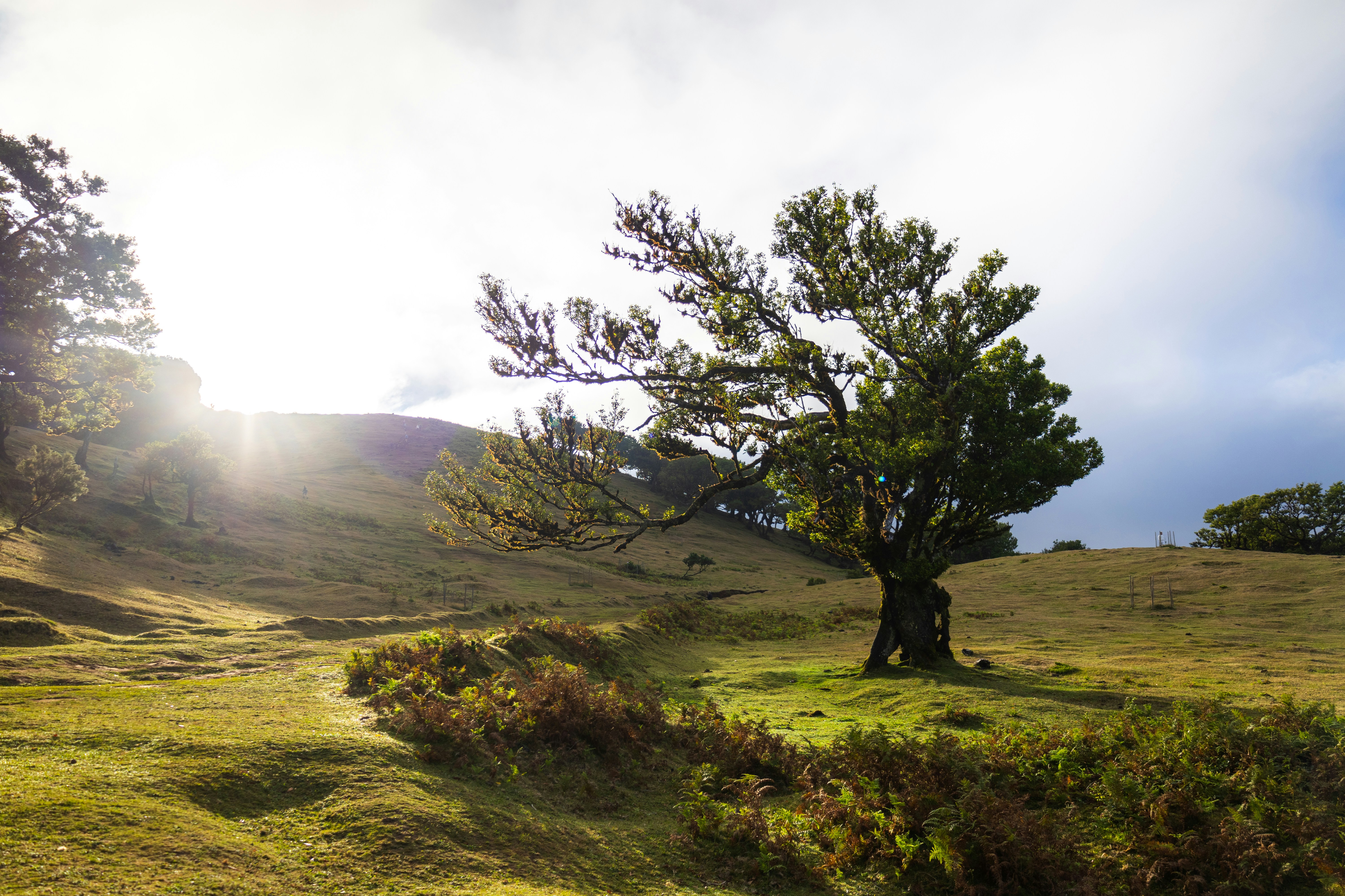 AEN: Von -10 auf +10 – Gefühle transformieren mit der Energie-Skala