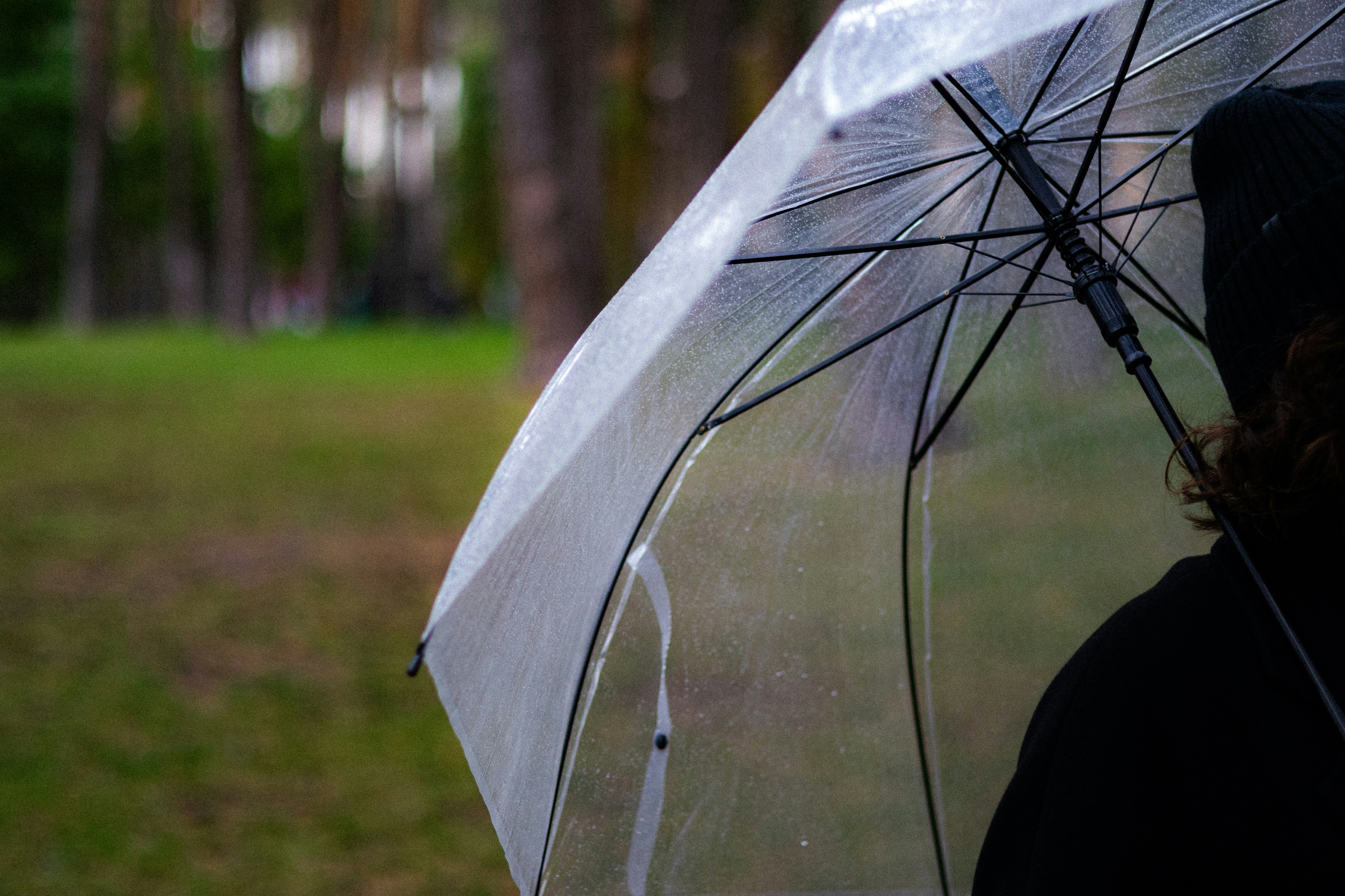 Photo by anyutakejbalo