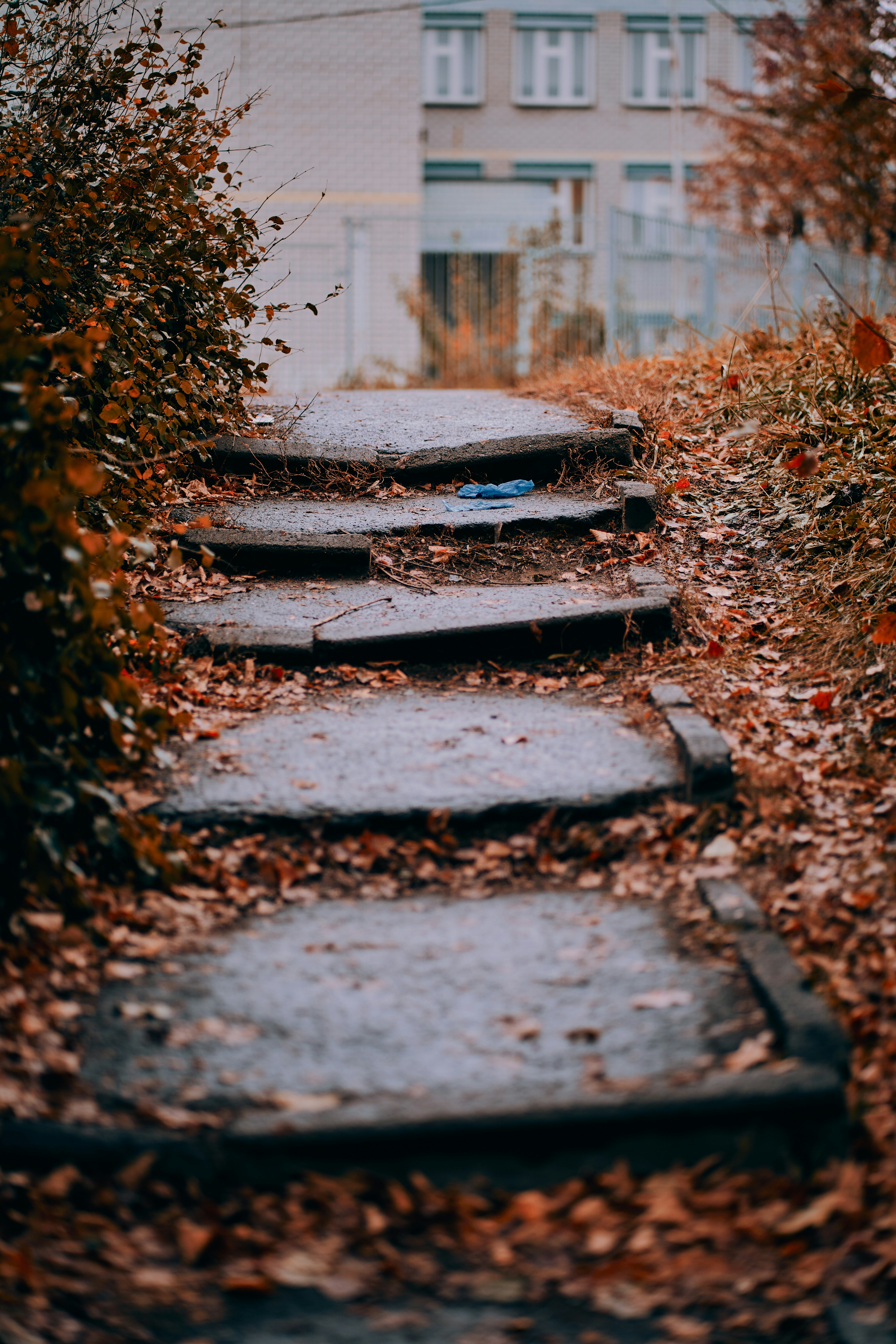A set of stone steps leading to a building