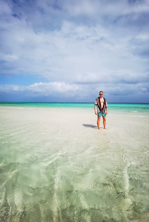 Djerba whitewashed village and palm trees