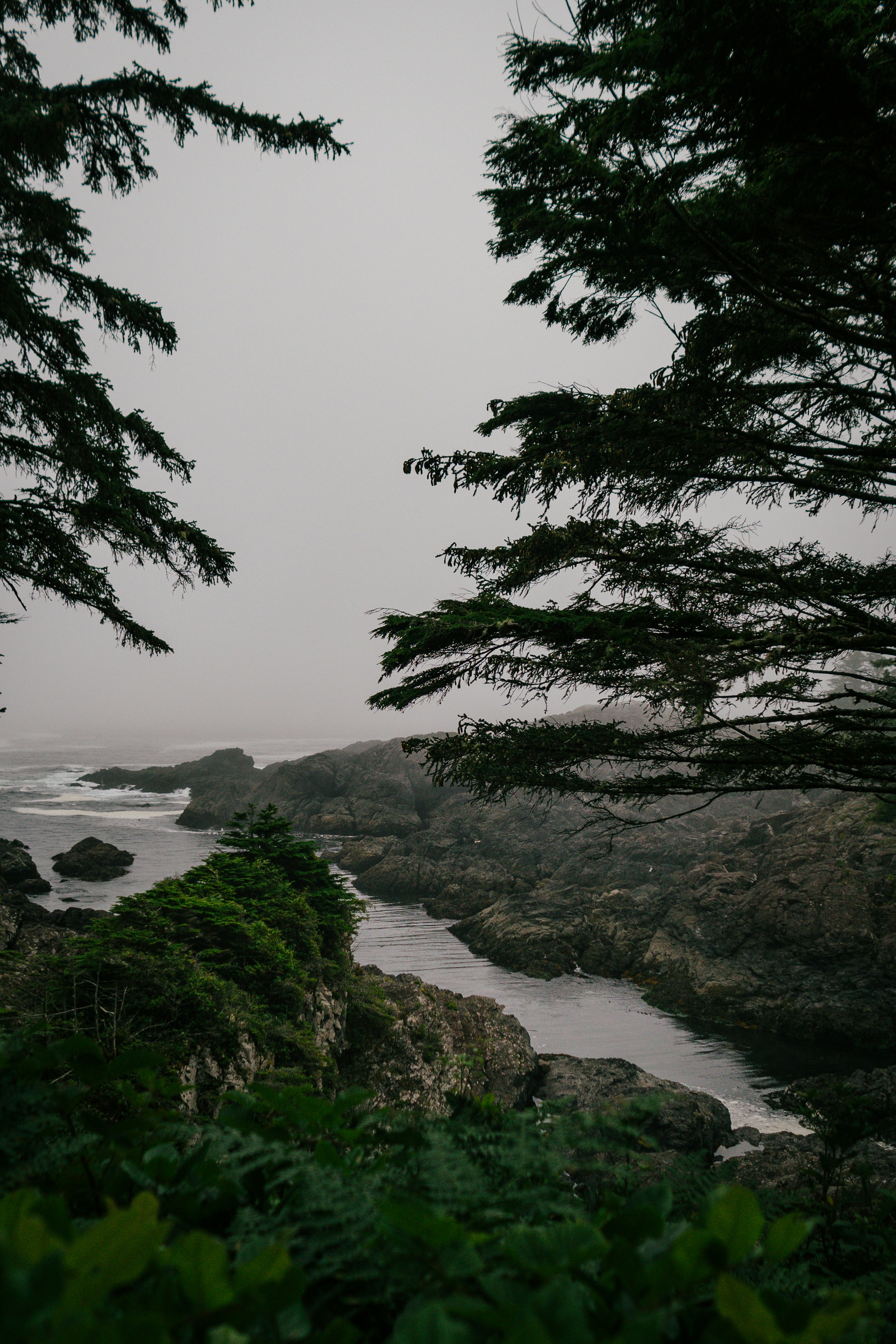 Photo by tatarbunarin