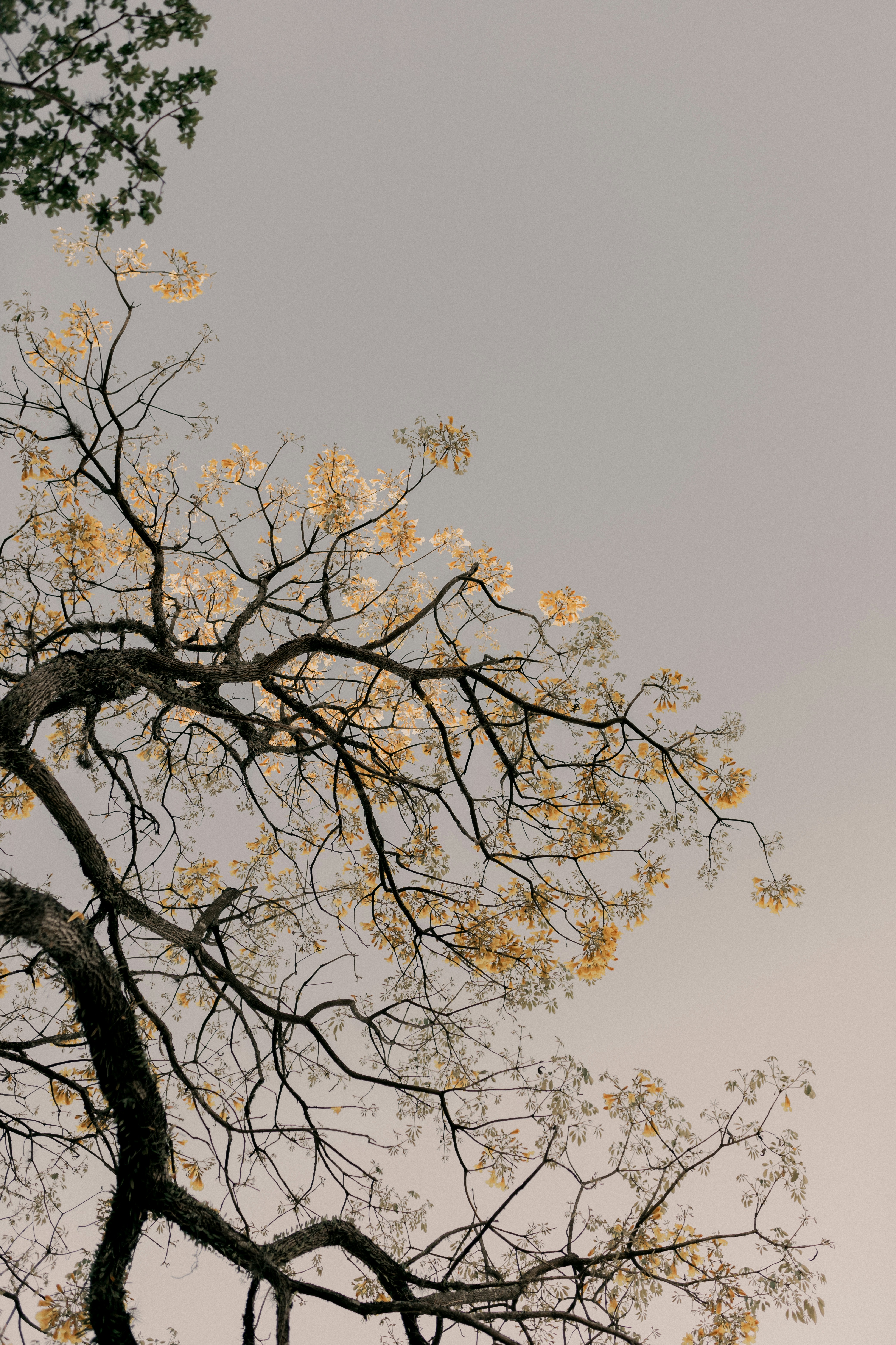 Photo by alexandermassph