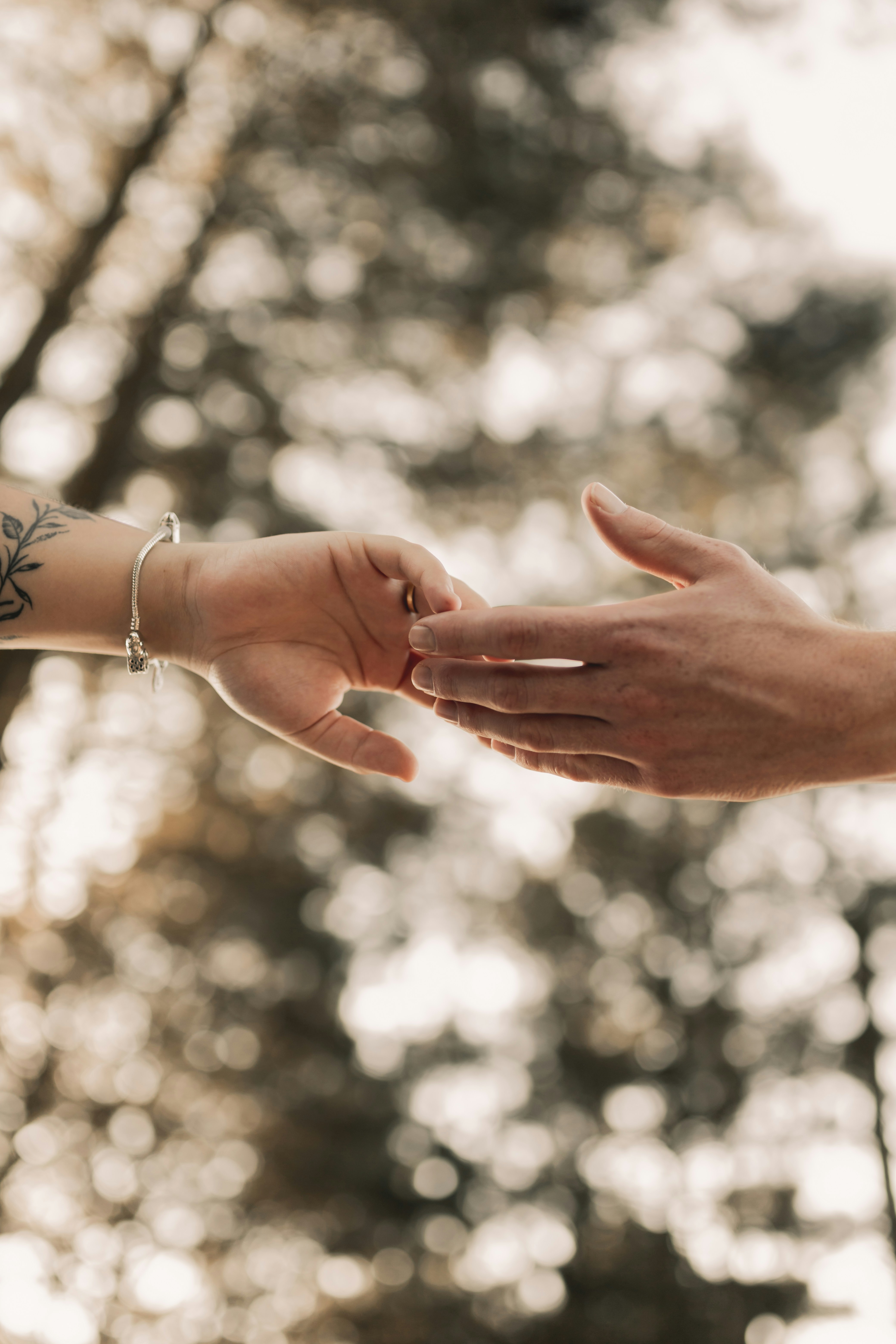 Photo by alexandermassph