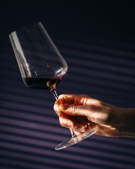 A person holding a wine glass in their hand