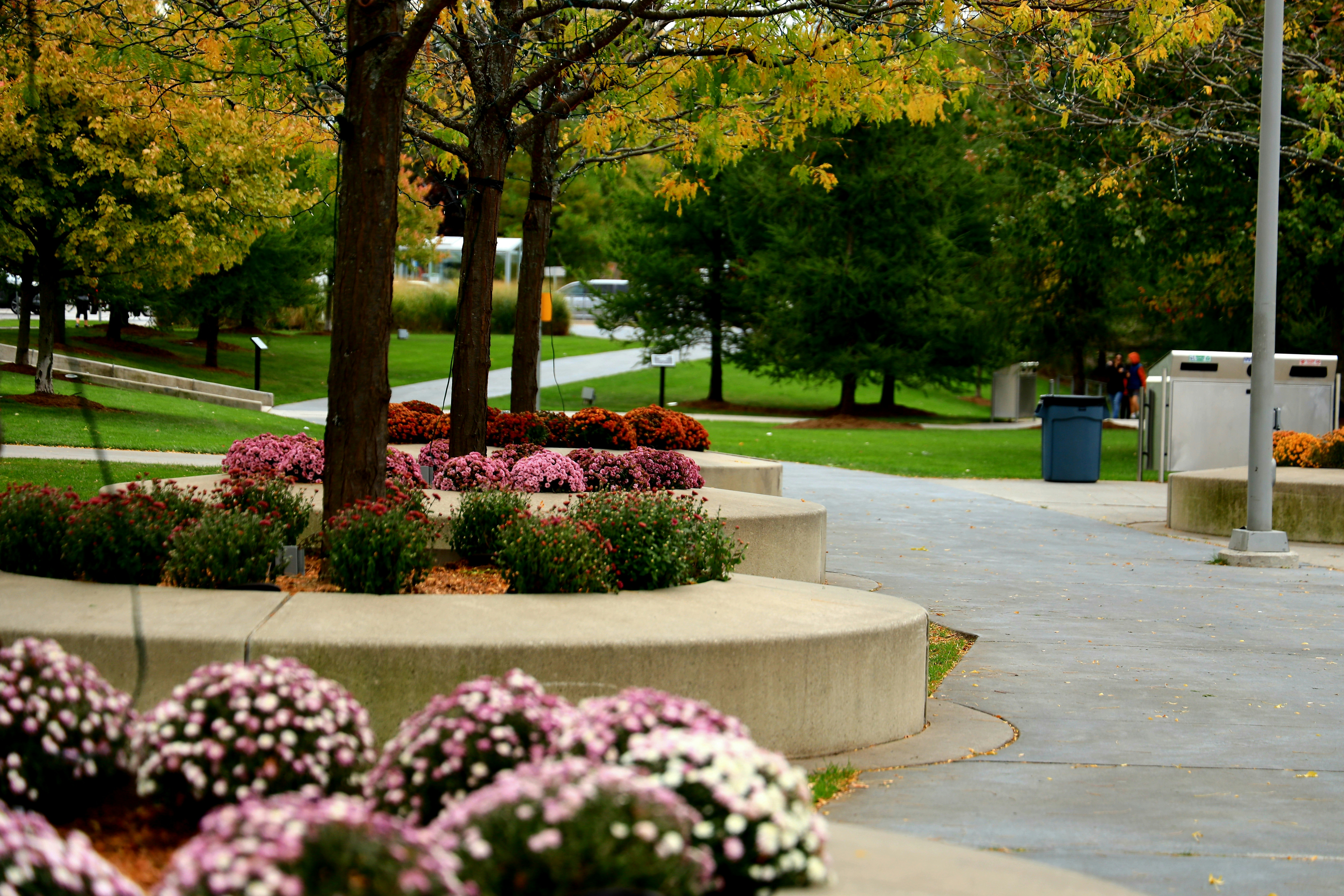 Bauer Park
