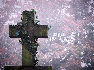 A cross with vines growing on it in front of a forest