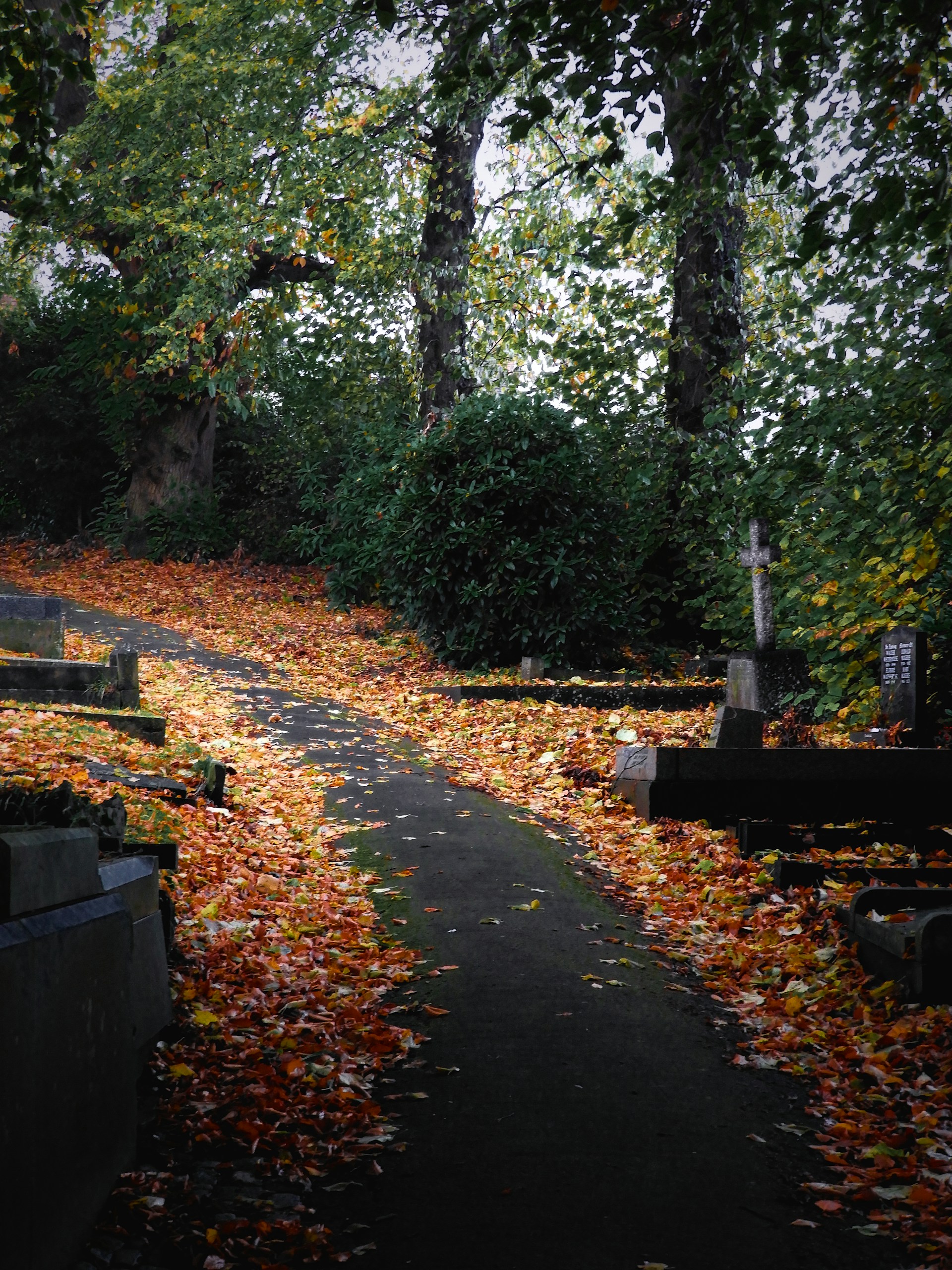 A path in a cemetery with leaves on the ground