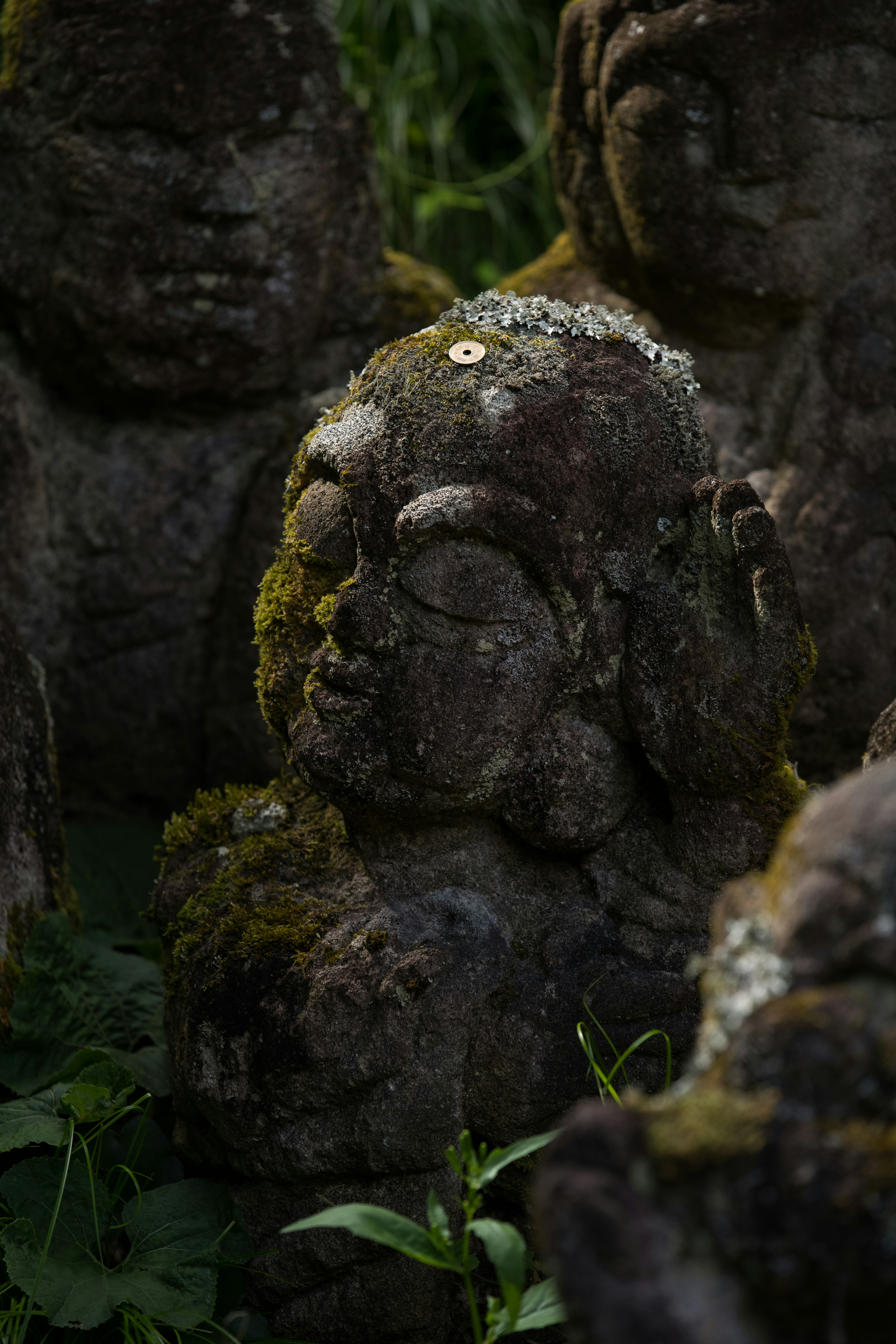 A group of rocks with moss growing on them