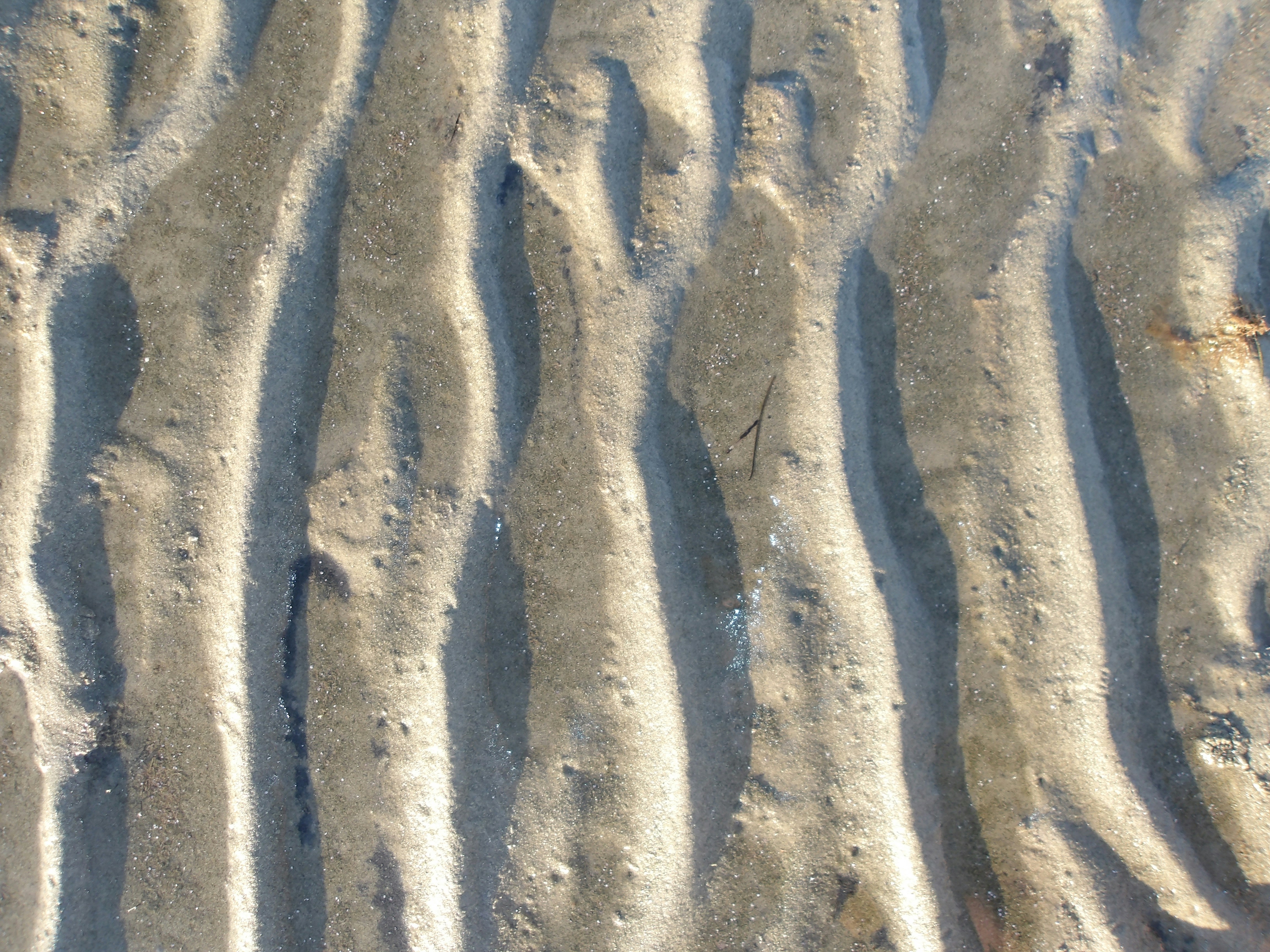 A sandy beach with a wave pattern made of sand