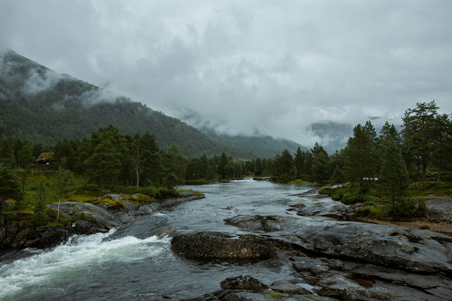 Nordic Council: Scandinavia's Cooperative Alliance