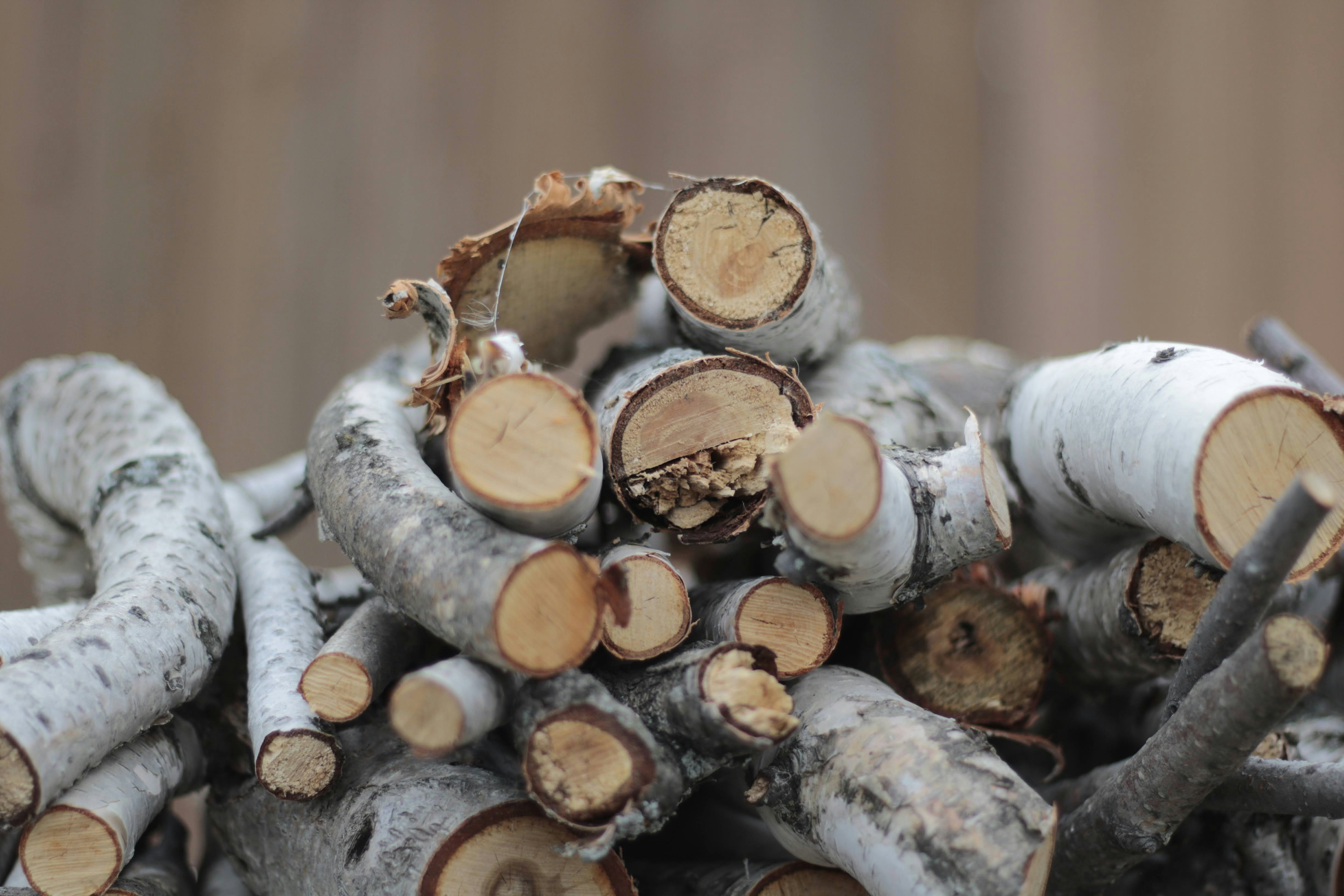 A pile of cut logs stacked on top of each other