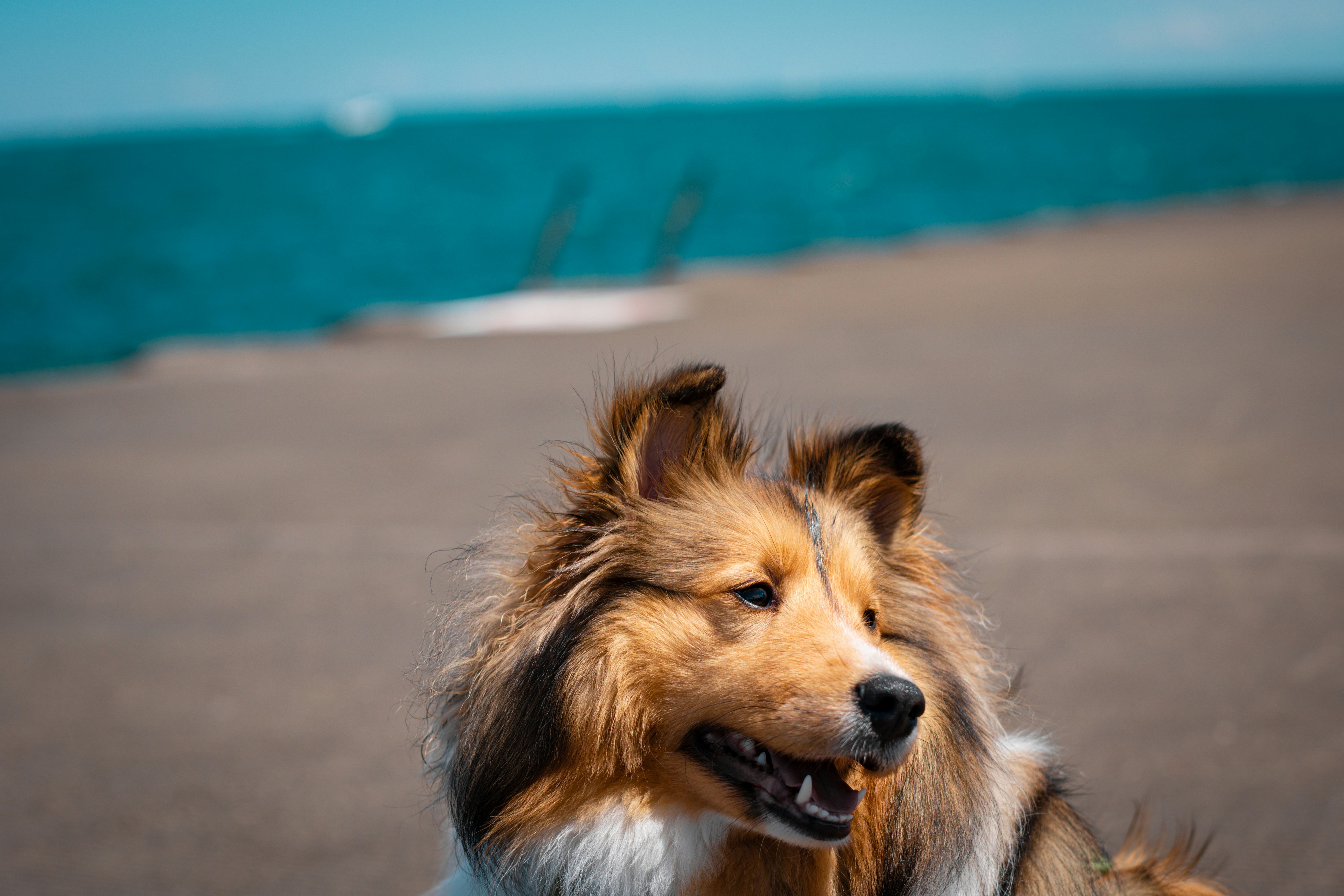 Photo by drewmorrisonphotography