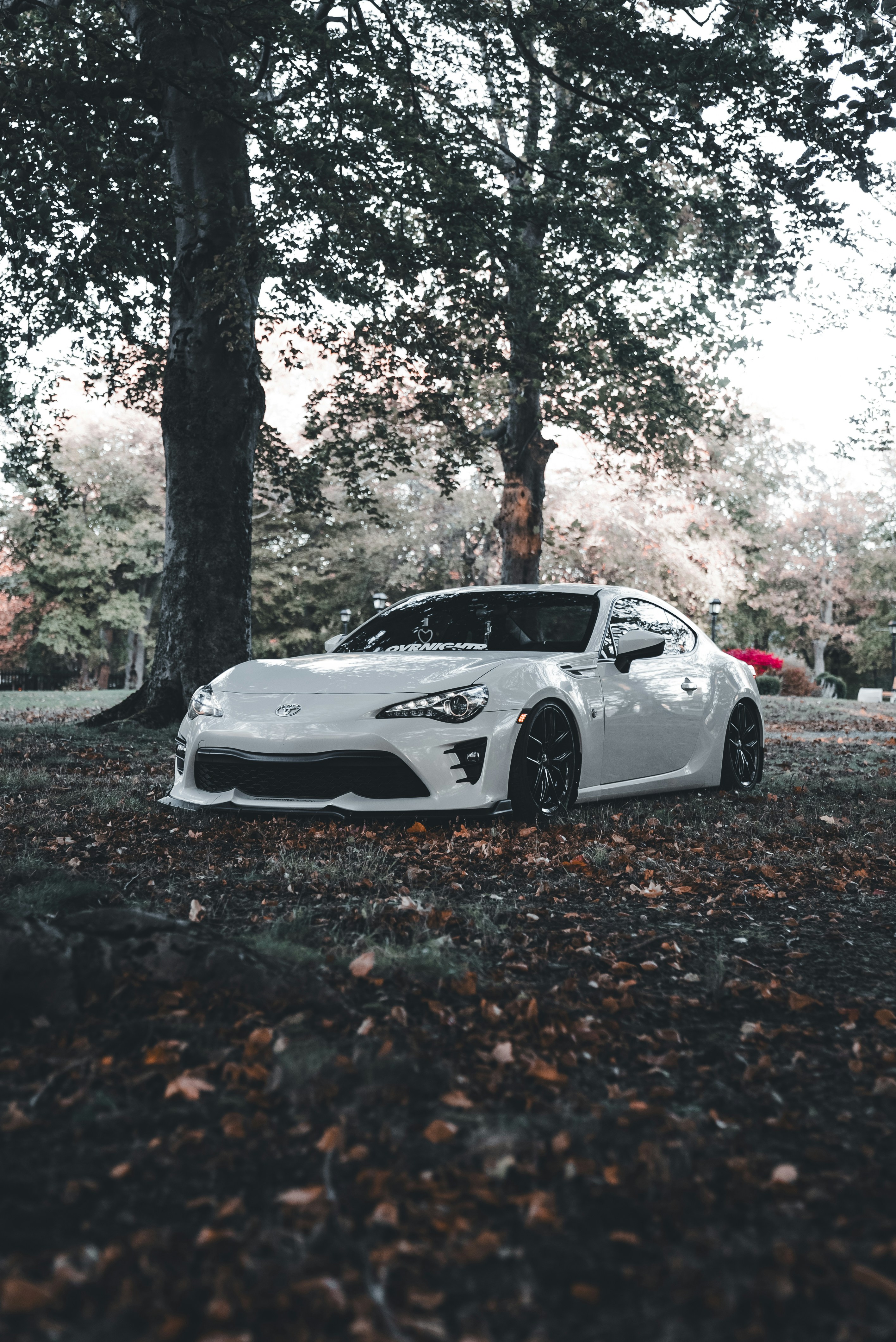 Photo by introspectivedsgn