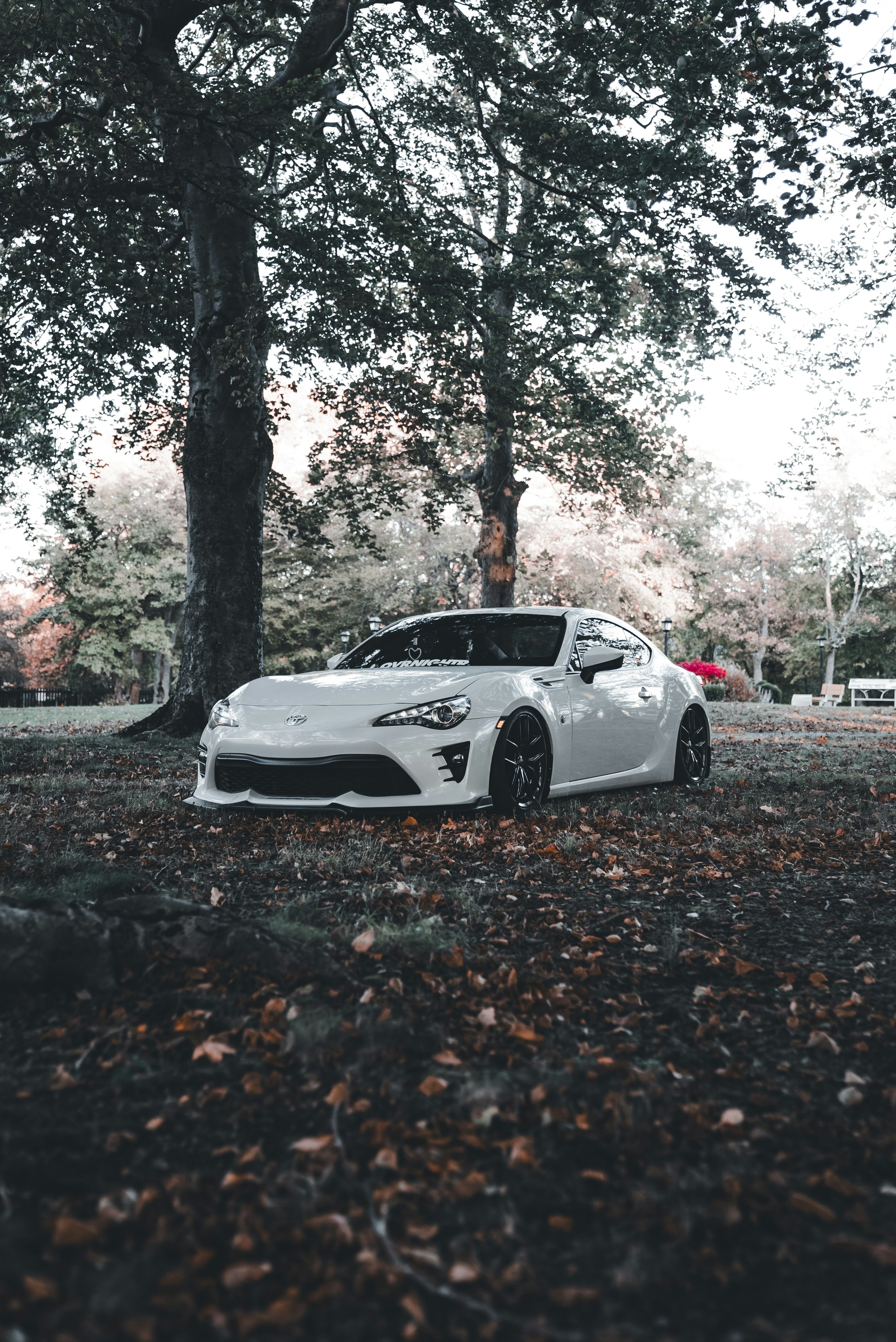 Photo by introspectivedsgn