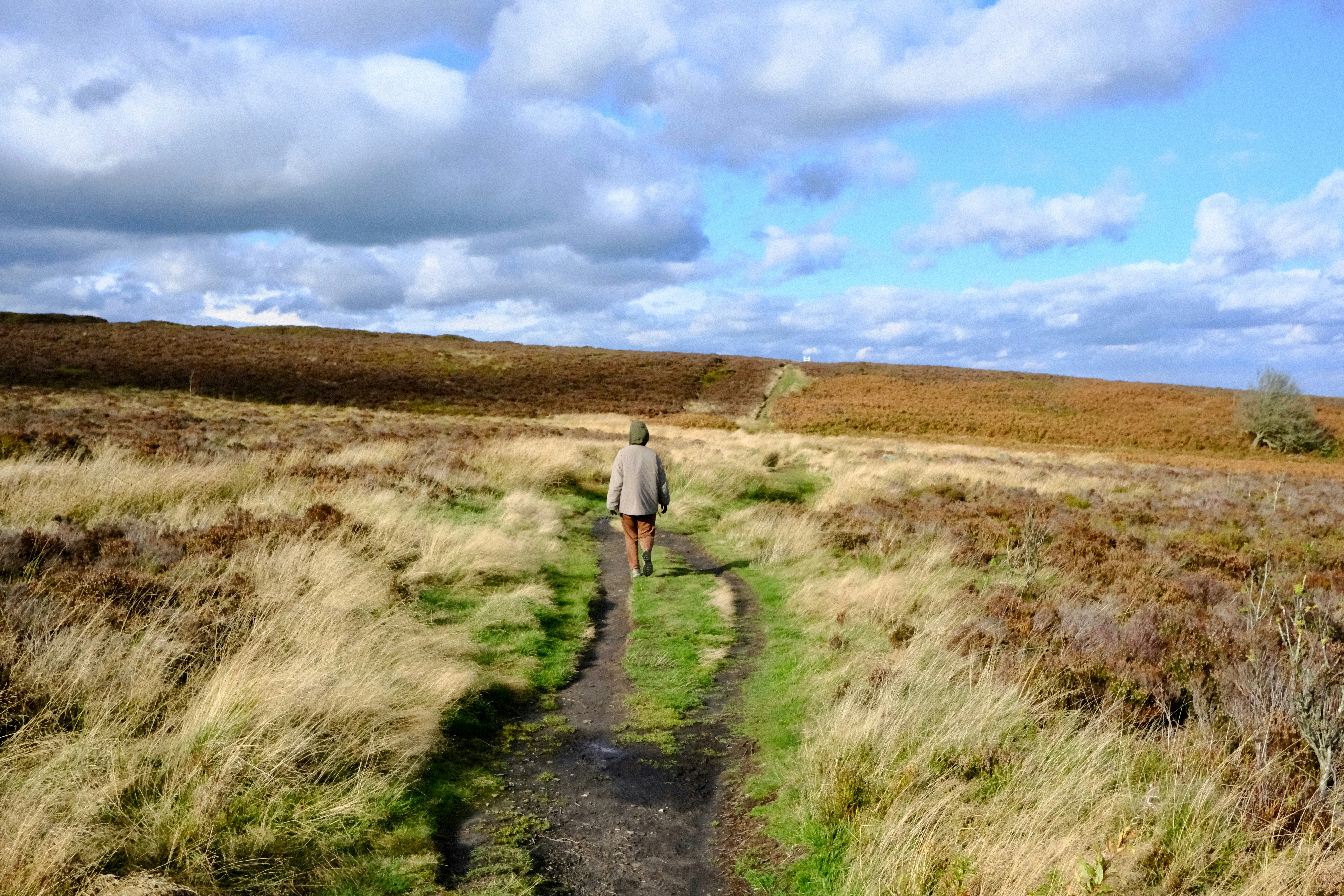 Photo by alekseixagafonov